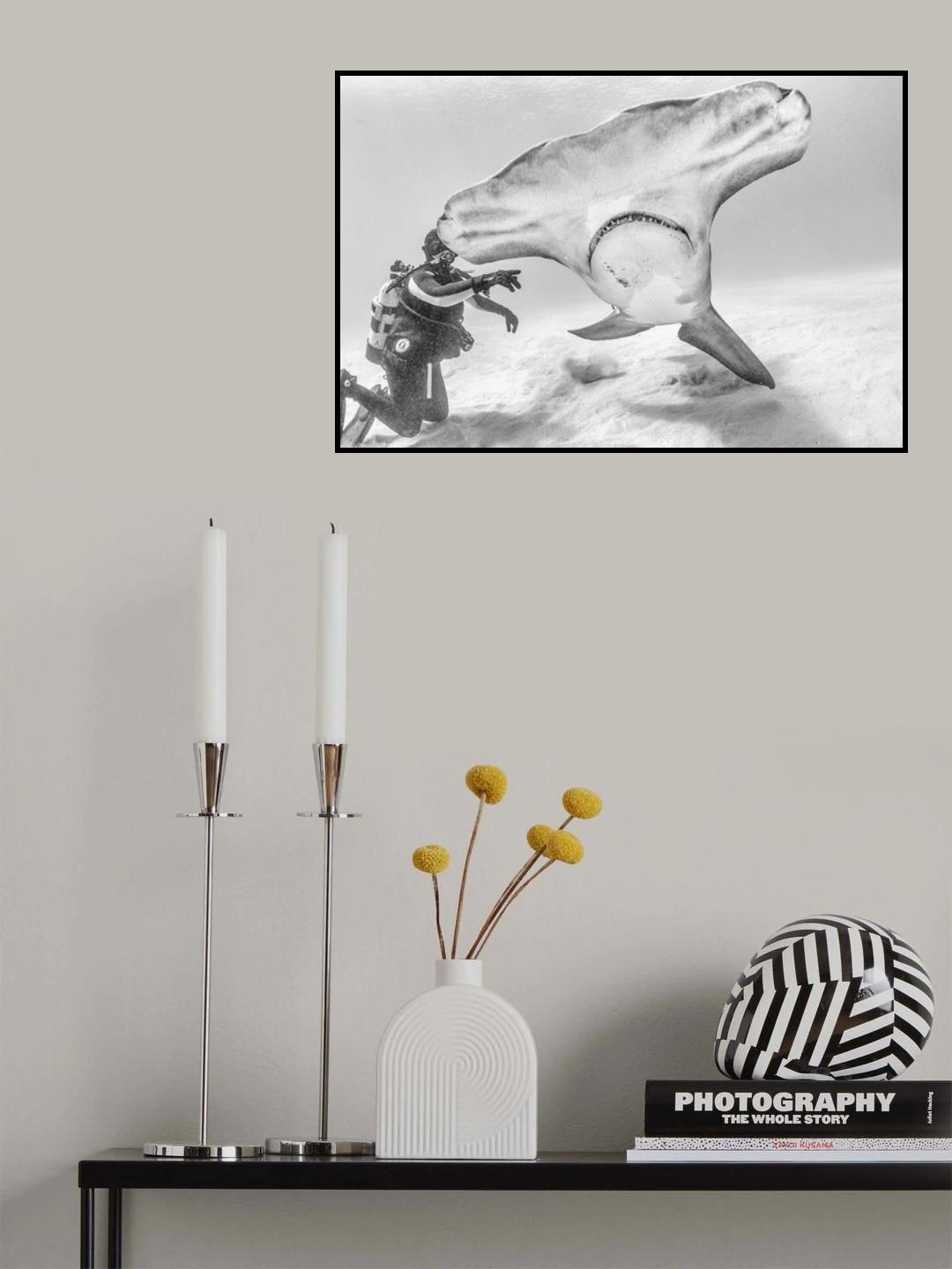Take off Poster och Canvastavla