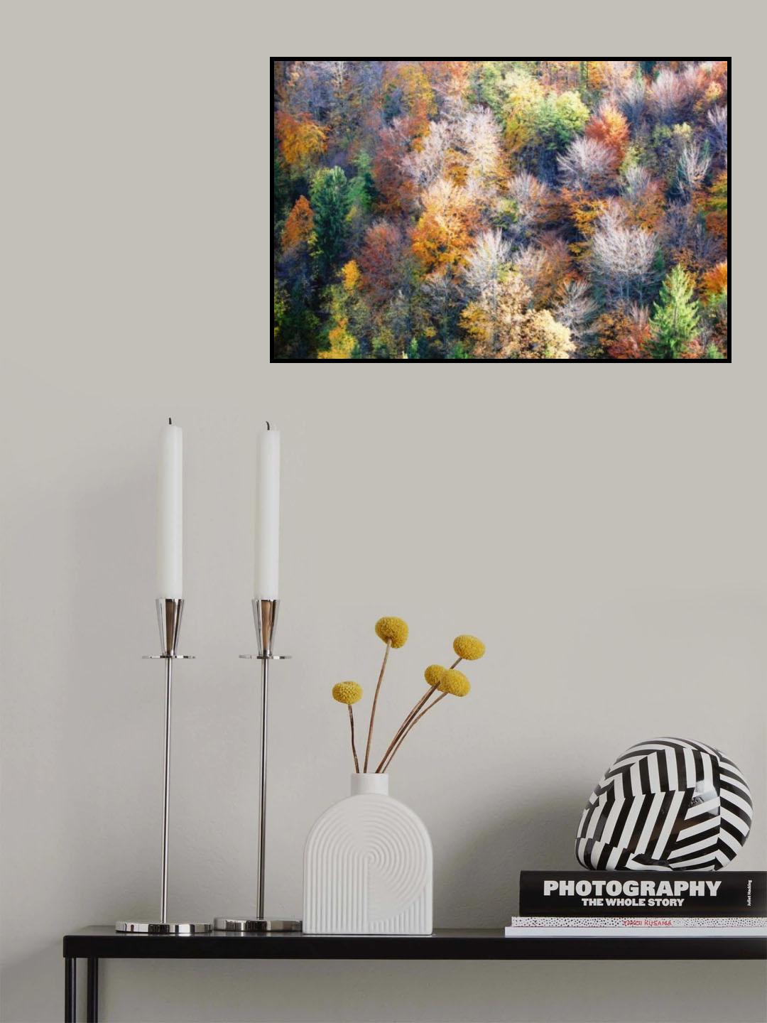 what colour is autumn Poster och Canvastavla