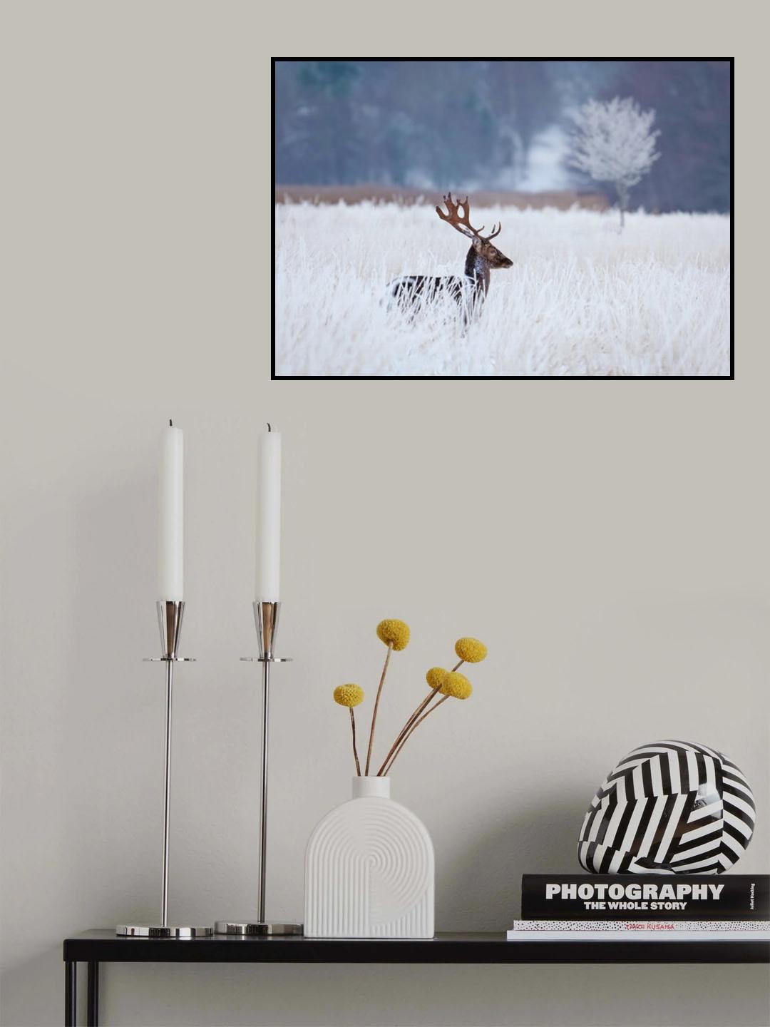 Fallow deer in the frozen winter landscape Poster och Canvastavla