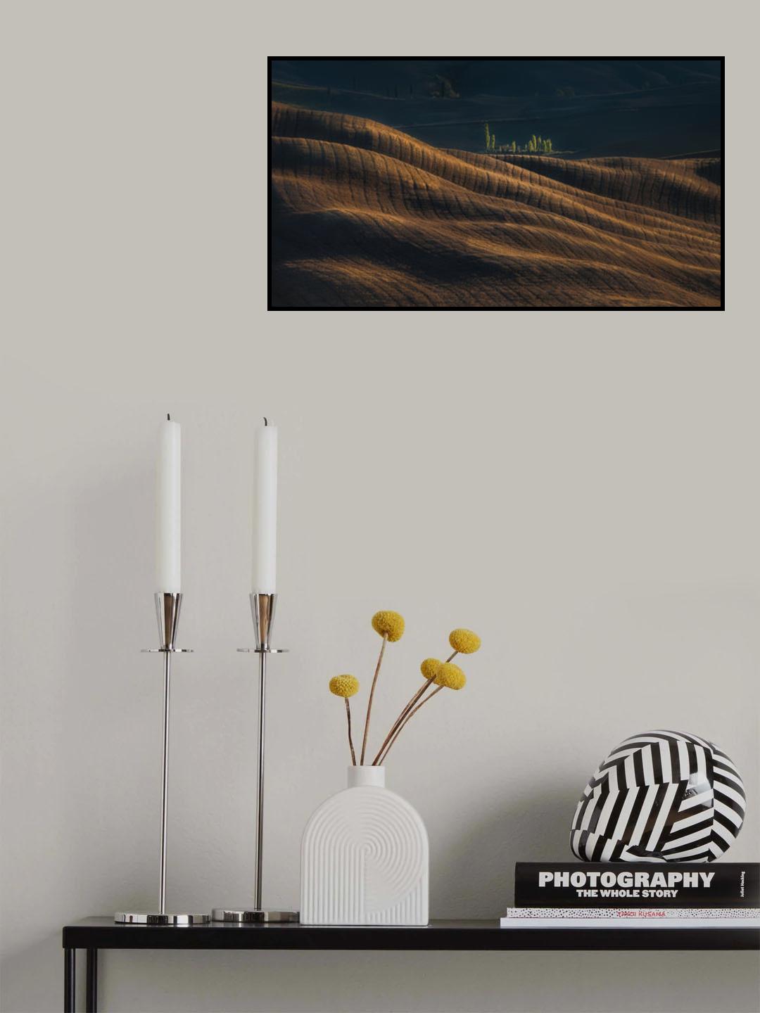 Fields of gold Poster och Canvastavla