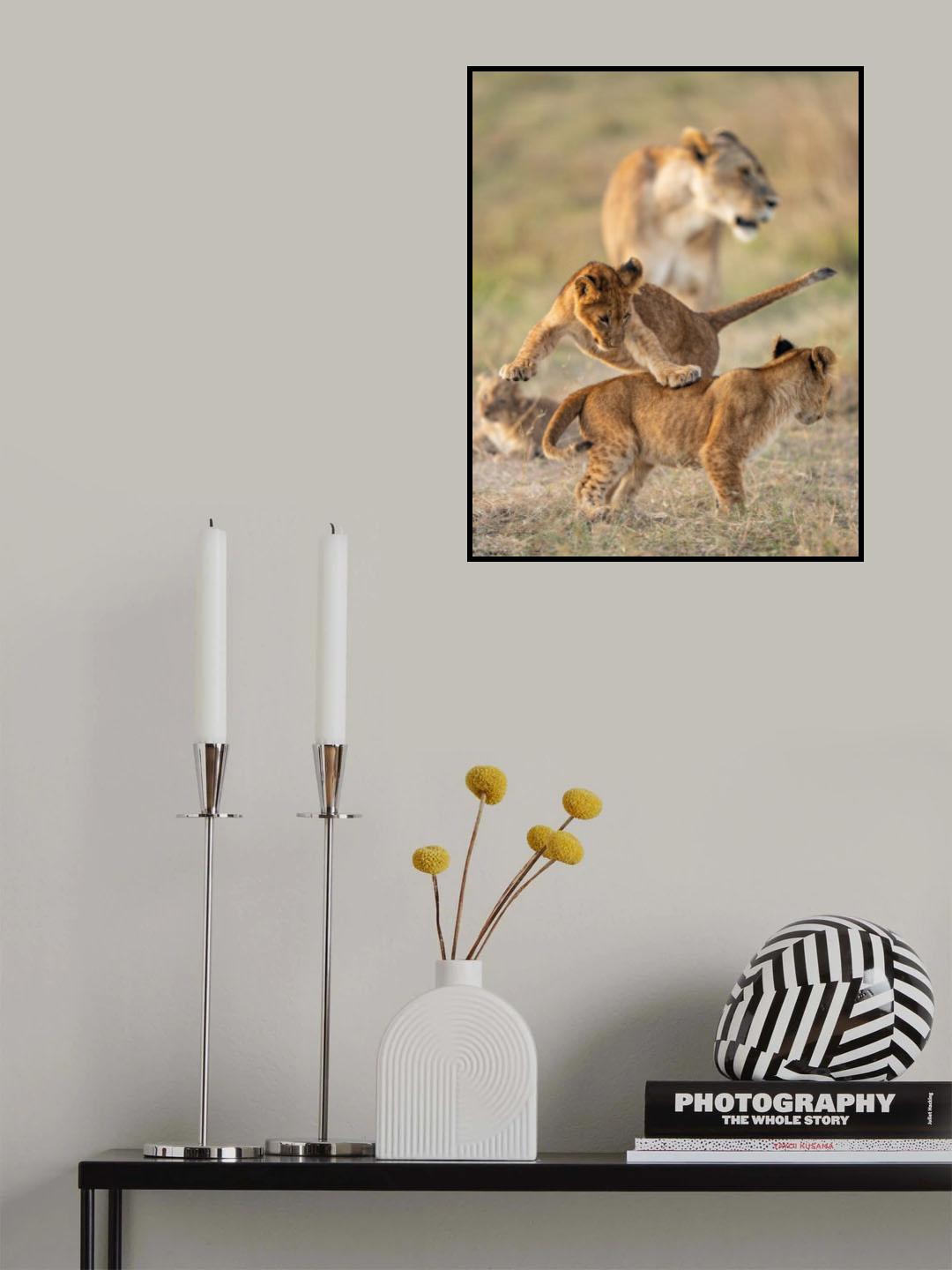 Cuties Poster och Canvastavla