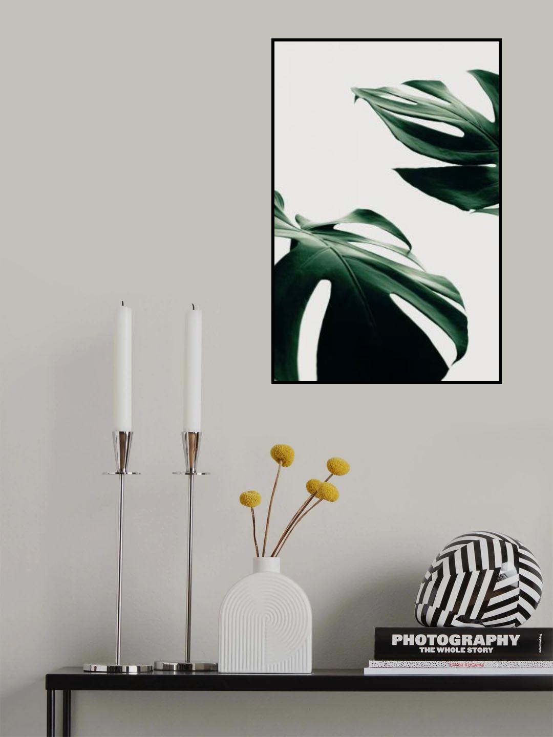 Monstera Natural 11 Poster och Canvastavla