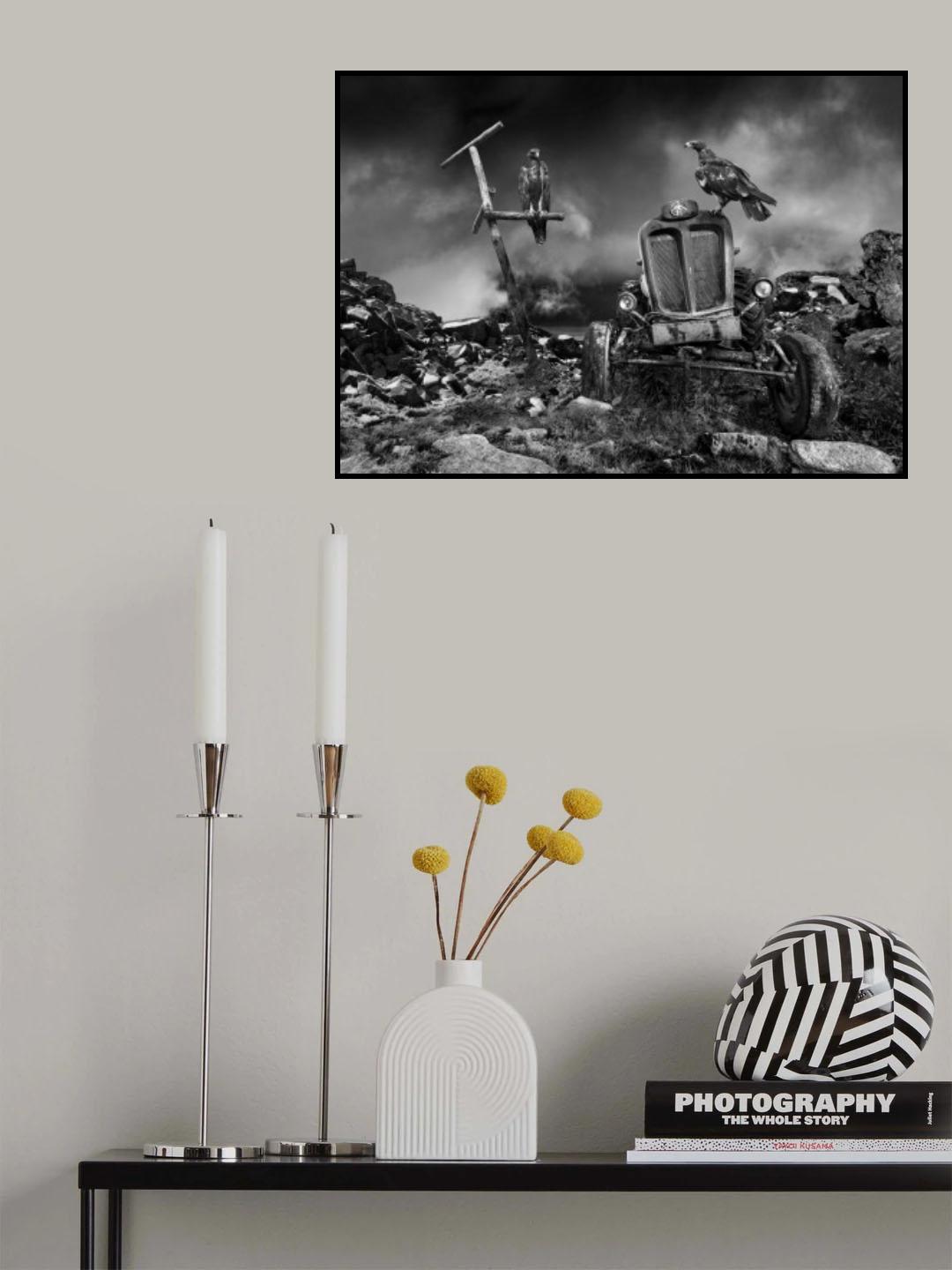 Eagles Poster och Canvastavla