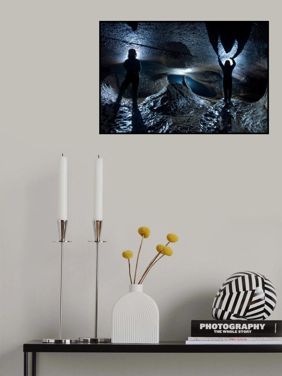 Shadow of bat Poster och Canvastavla