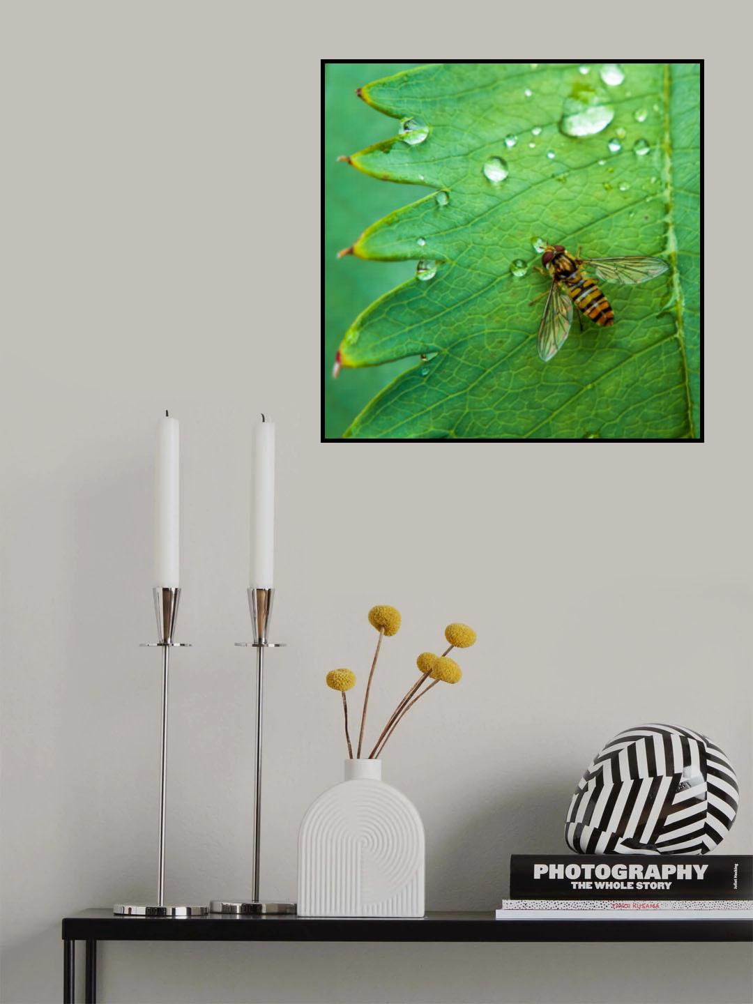 Rainy Day Poster och Canvastavla