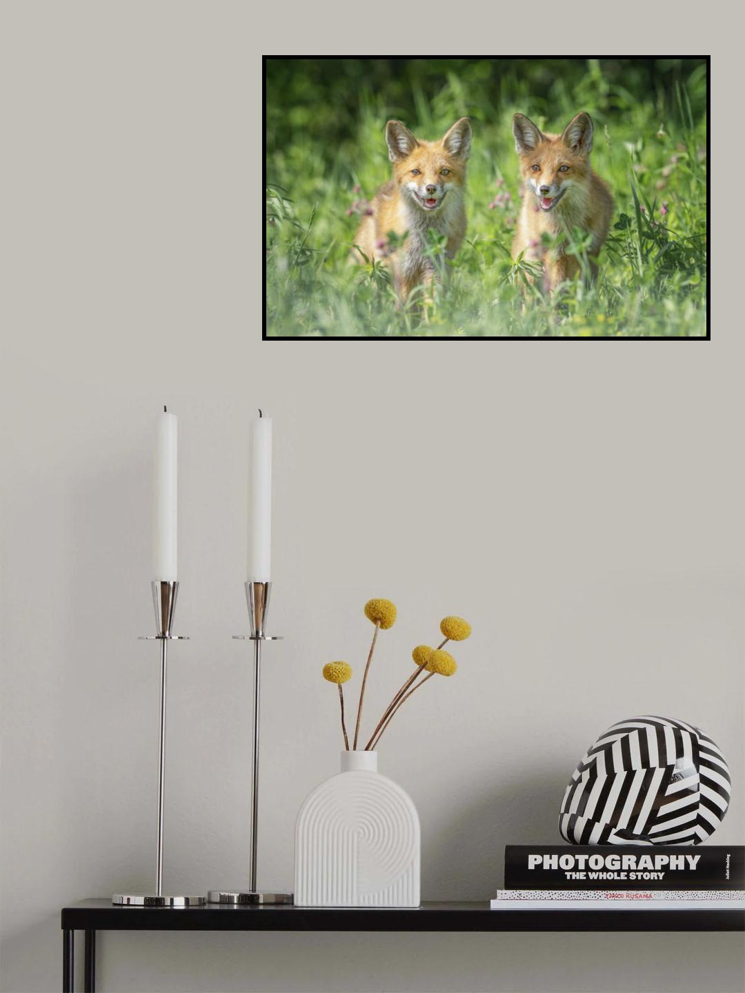 Brothers Poster och Canvastavla