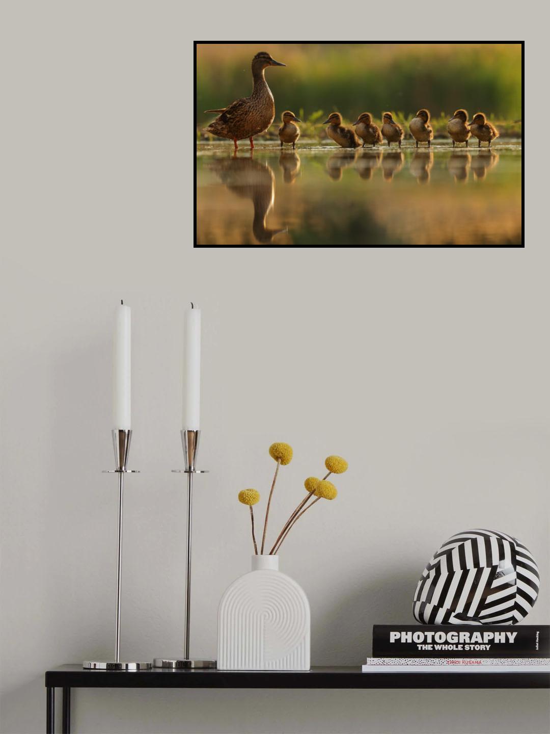 One big happy family Poster och Canvastavla
