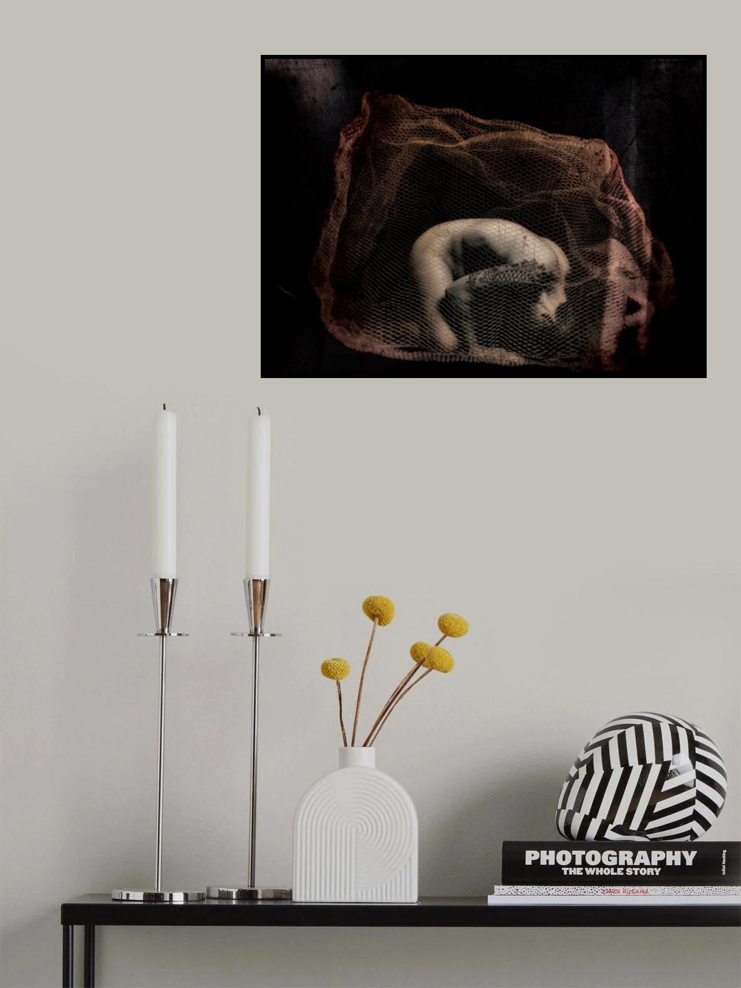 guantanamo Poster och Canvastavla