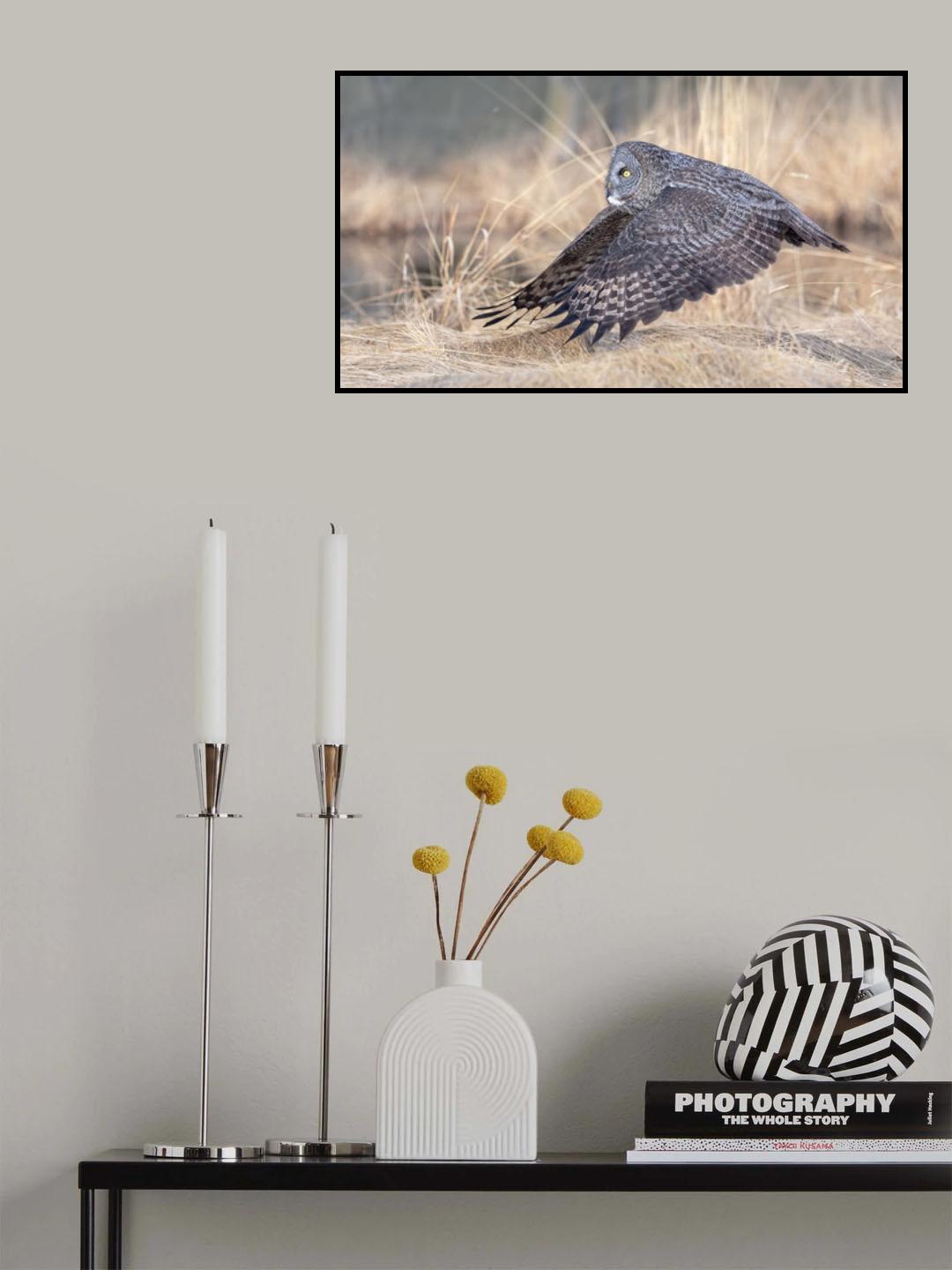 Flying Poster och Canvastavla