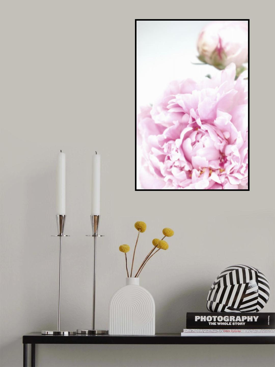Subdued peony IX Poster och Canvastavla