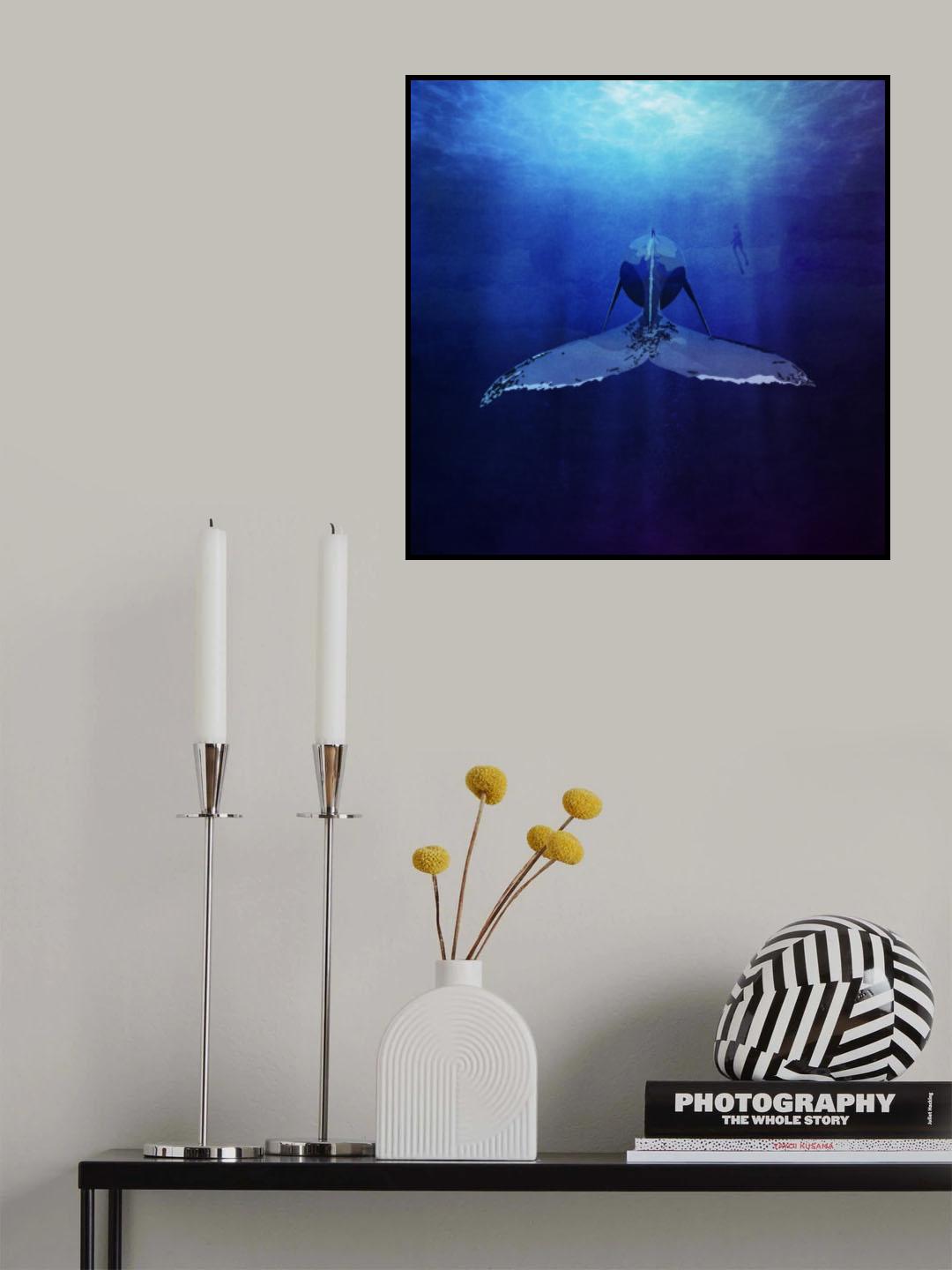 Whale Poster och Canvastavla