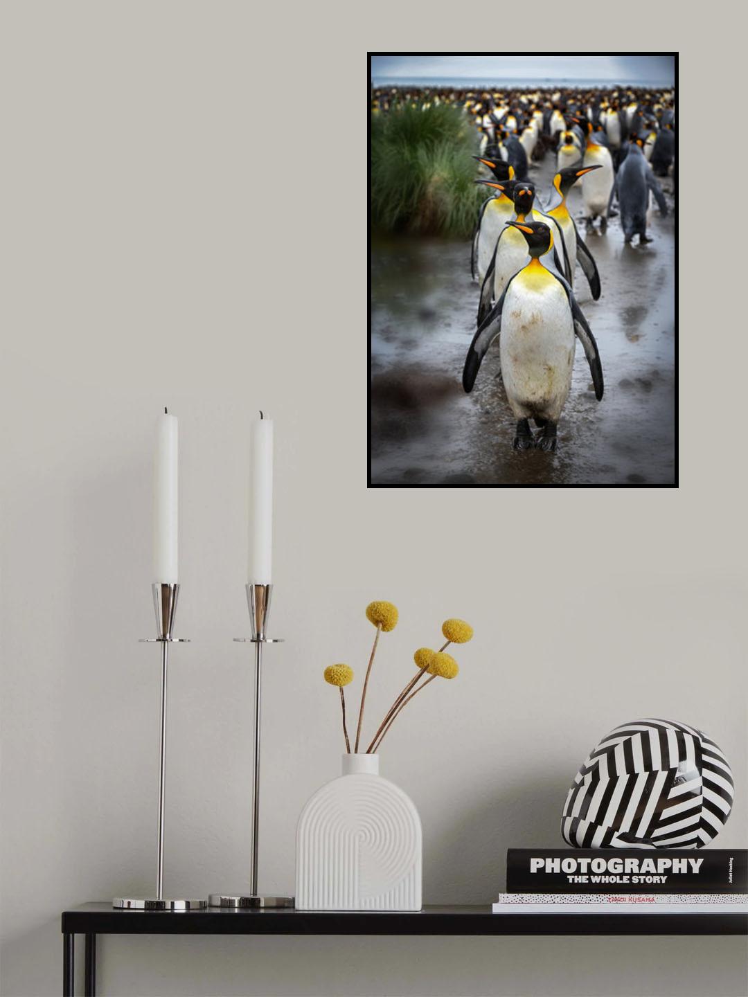 Follow me Poster och Canvastavla