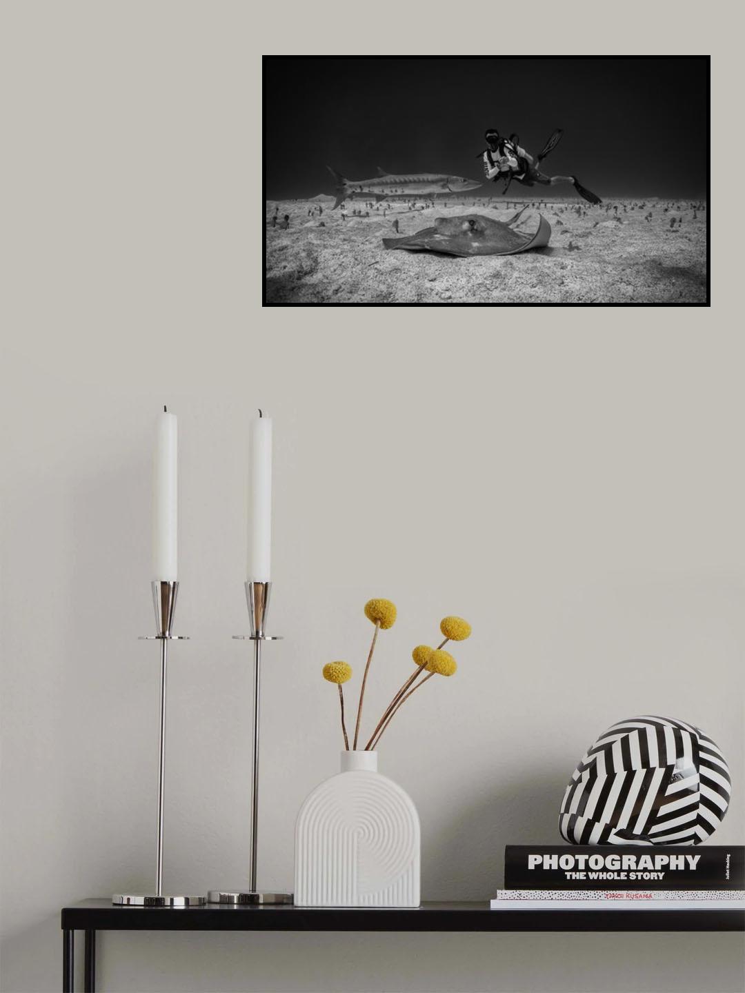 Look ! Poster och Canvastavla