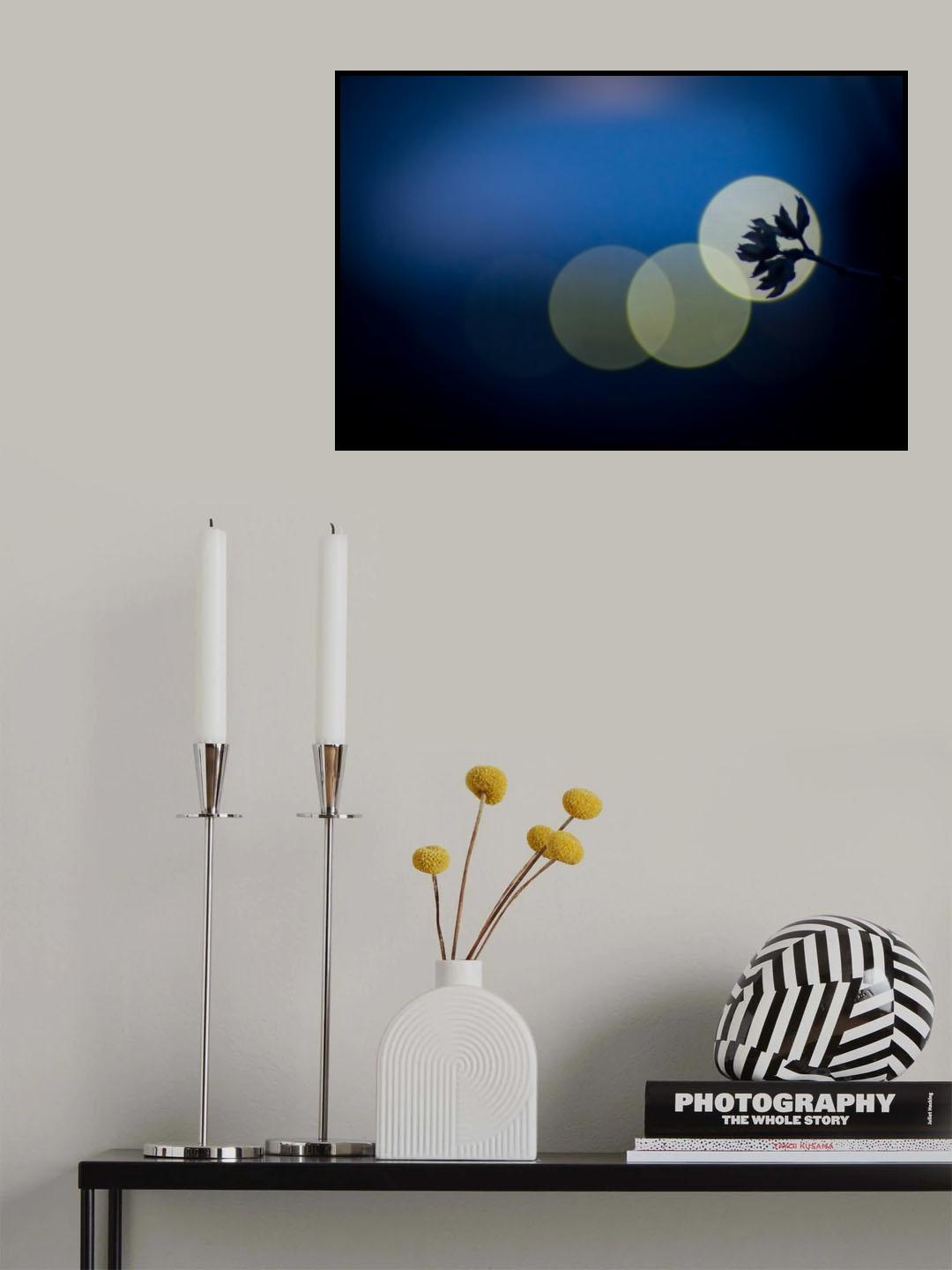 hikari Poster och Canvastavla