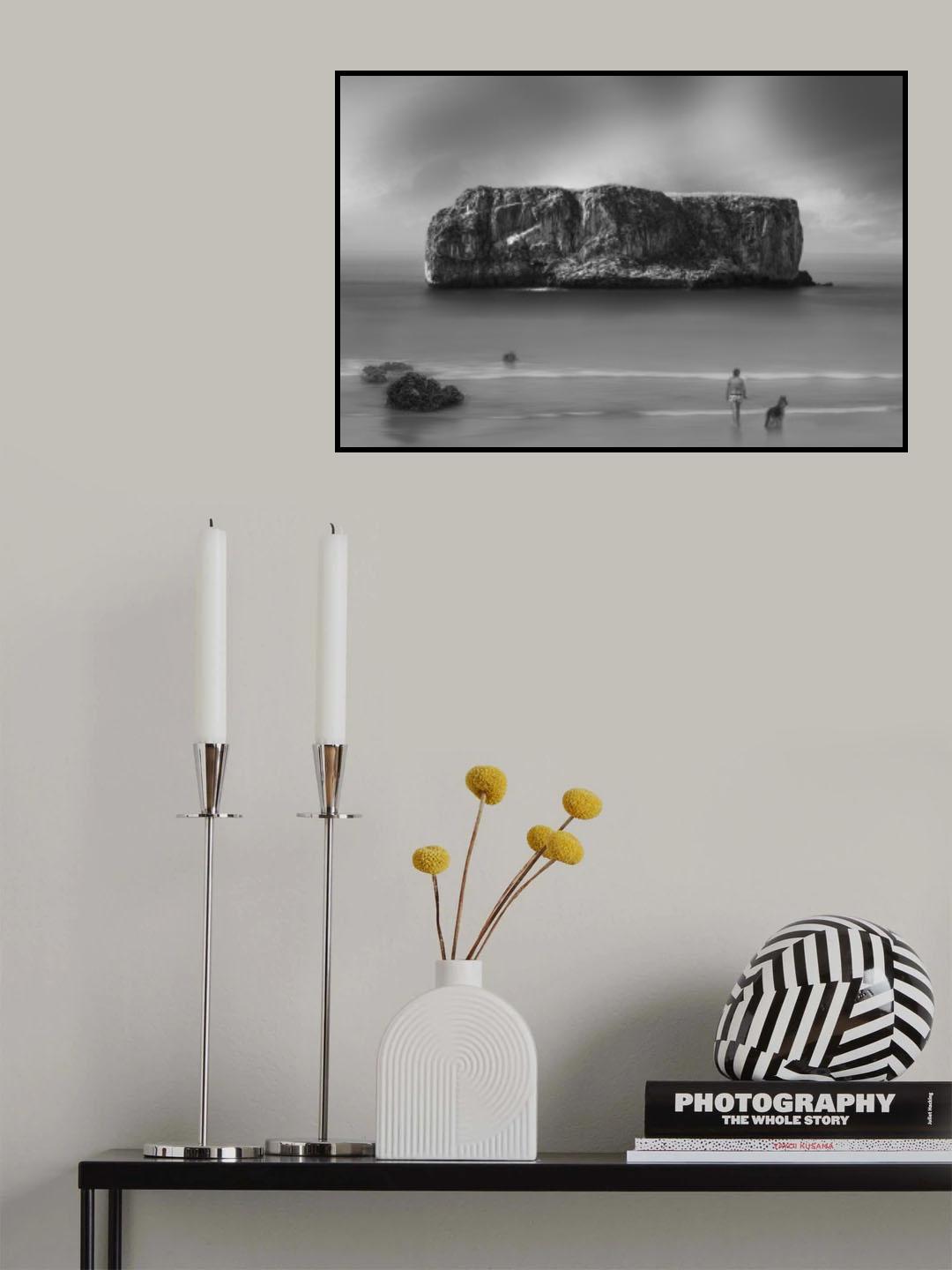 Woman, dog and rock. Poster och Canvastavla