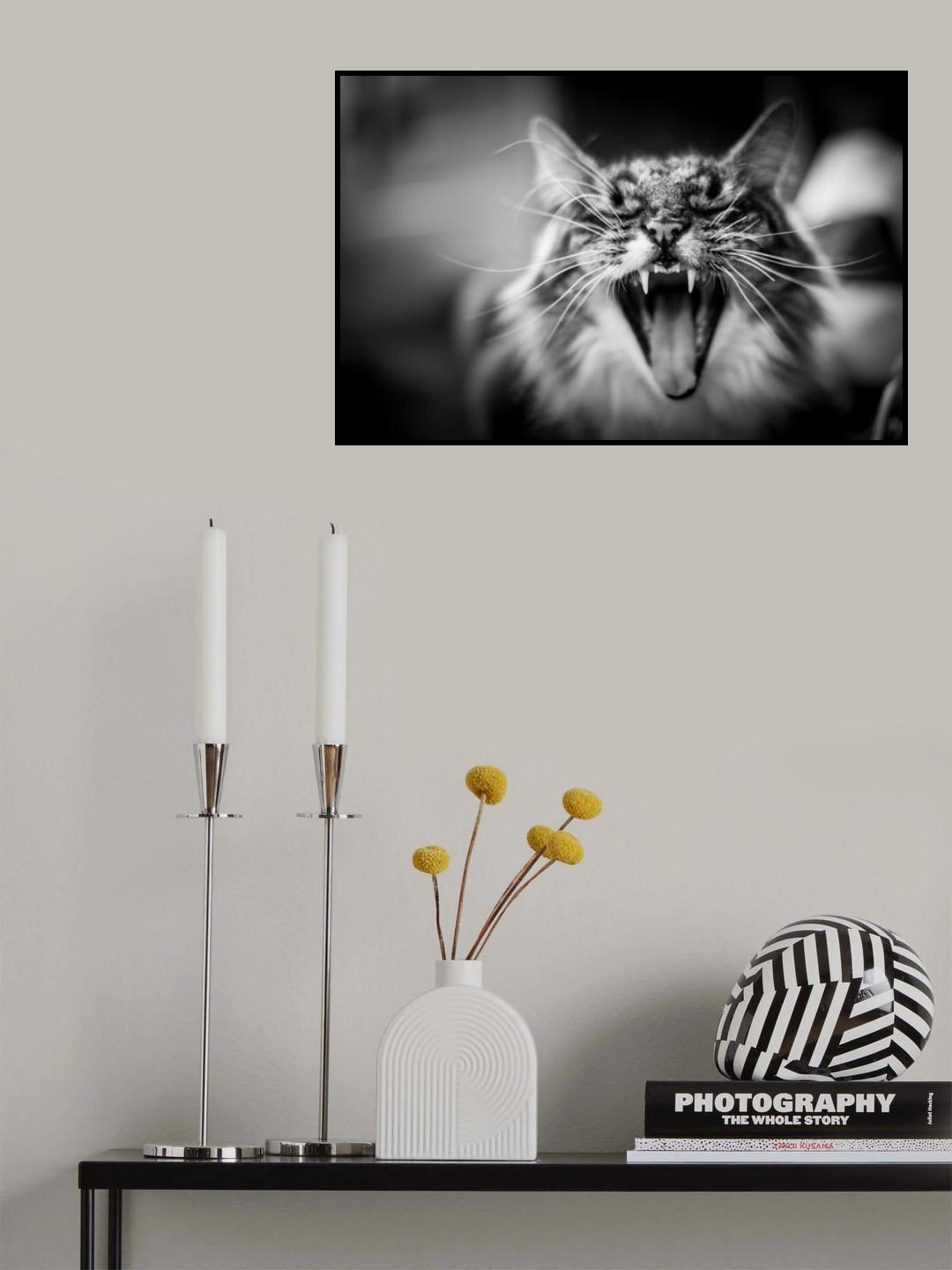 Hear me meow Poster och Canvastavla