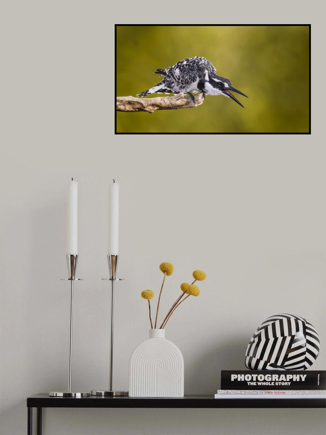 Hungry KingFisher Poster och Canvastavla