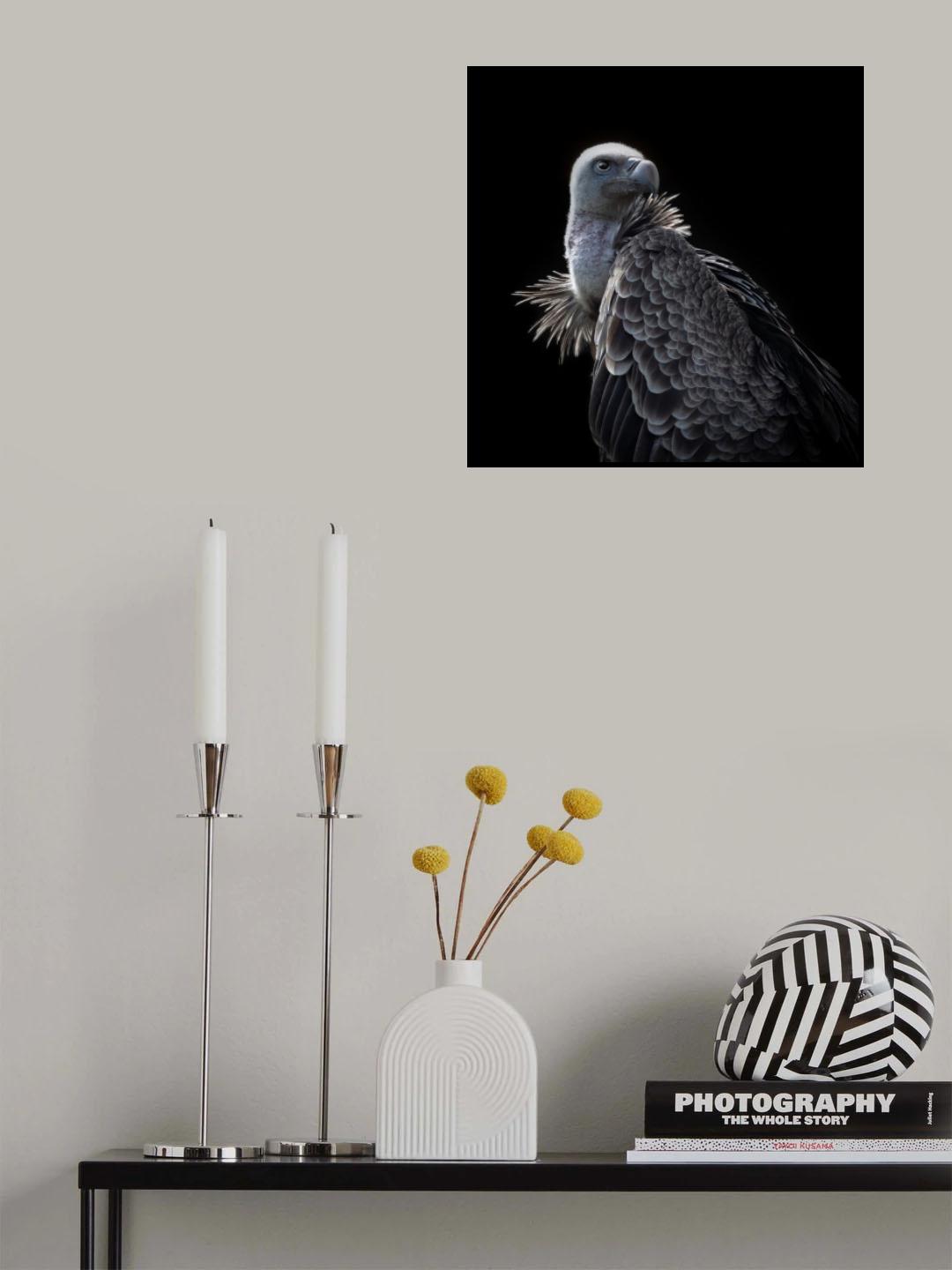 Pure beauty.... Poster och Canvastavla