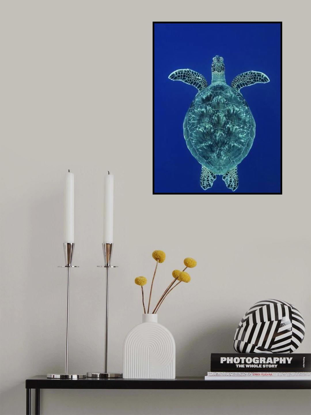 Symétrie in blue Poster och Canvastavla