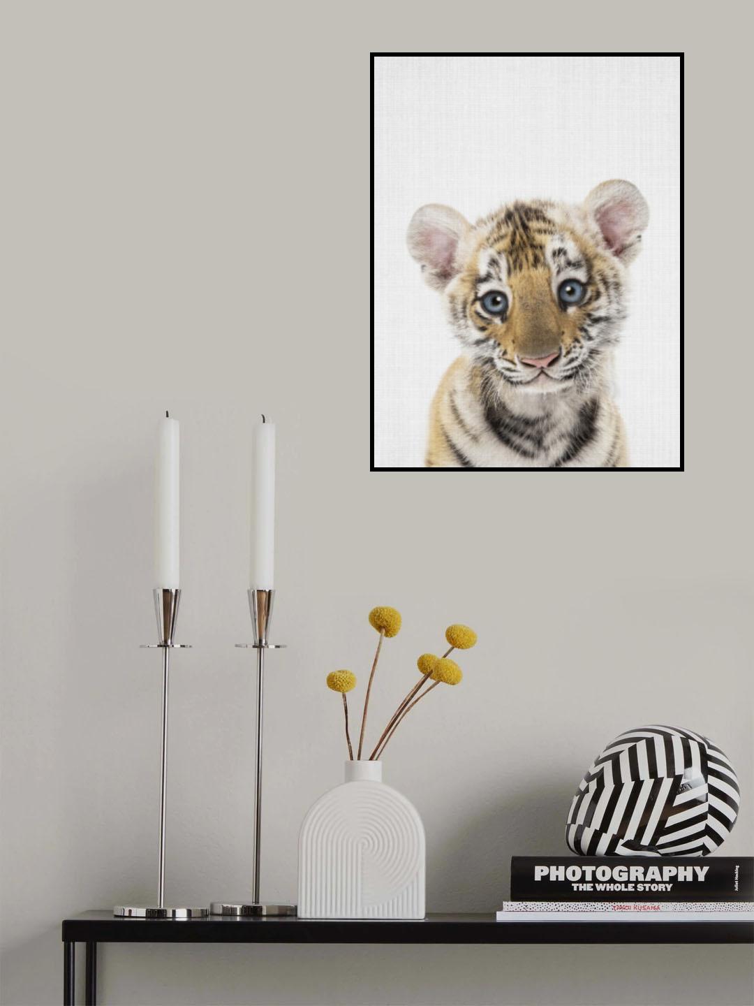Peekaboo Baby Tiger Poster och Canvastavla