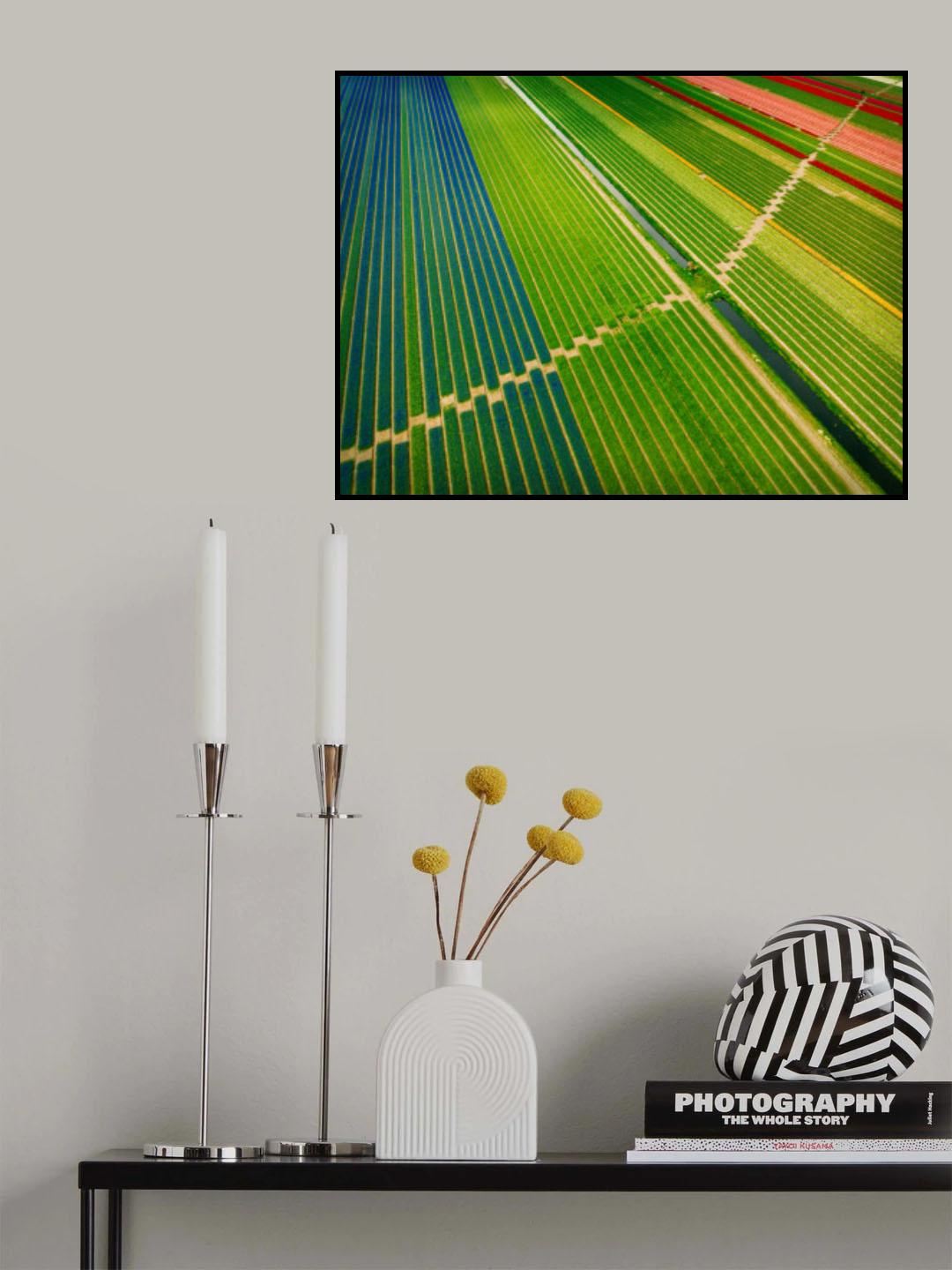 Aspiring Steps Poster och Canvastavla