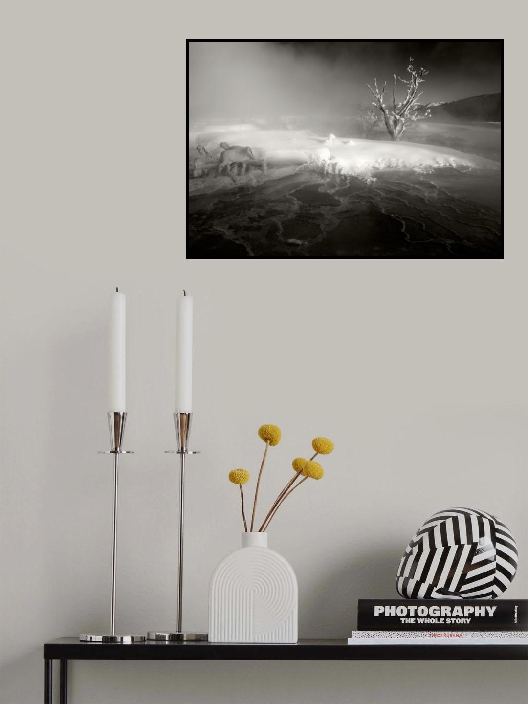 Mammoth Hot Springs, 2009 Poster och Canvastavla