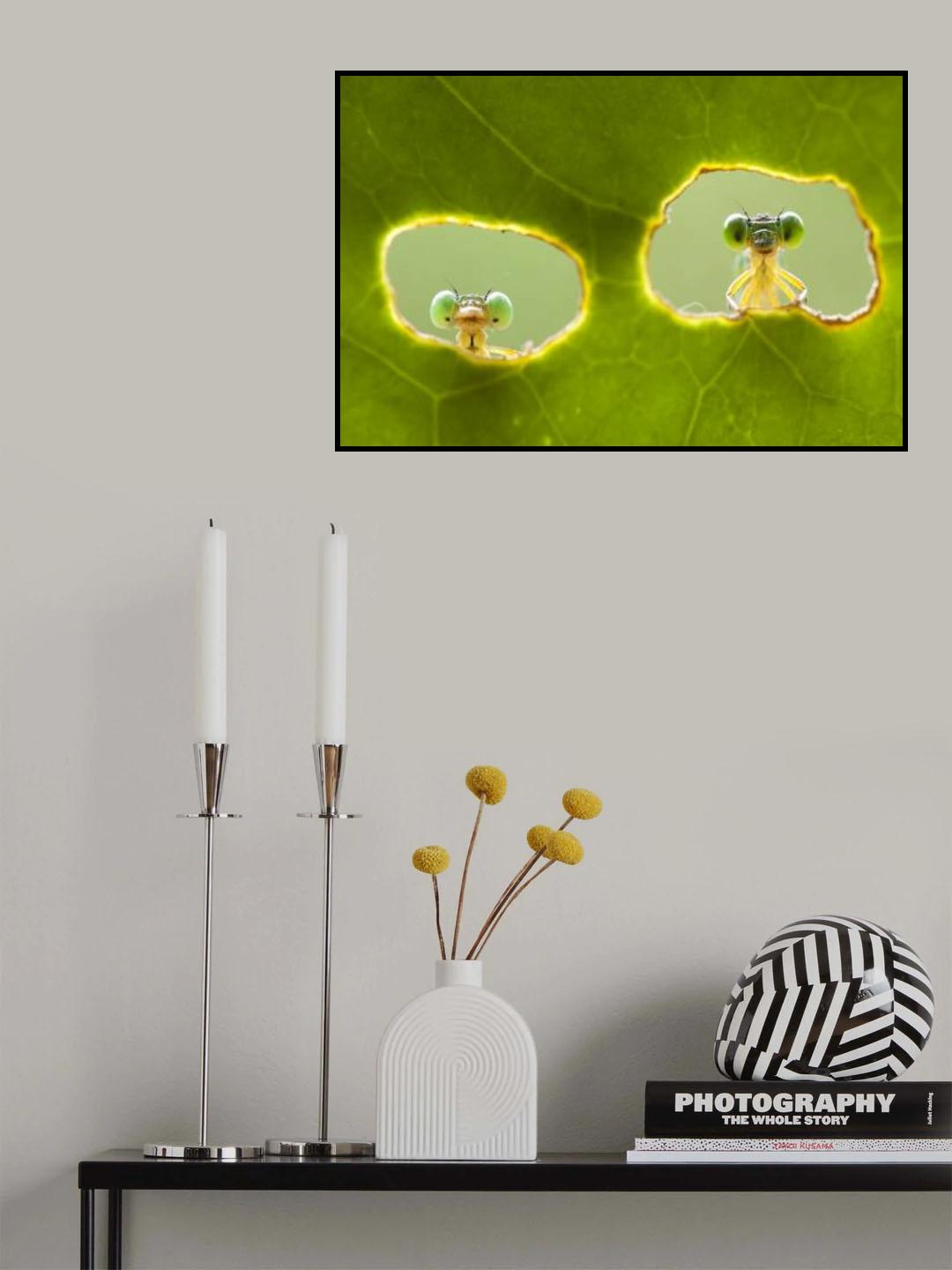 Hi, We Look You Poster och Canvastavla