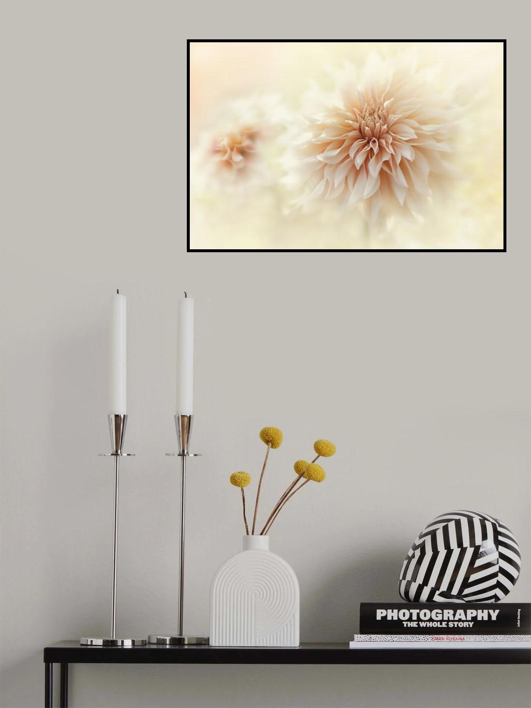 Cafe 'Au lait' Dahlia Poster och Canvastavla