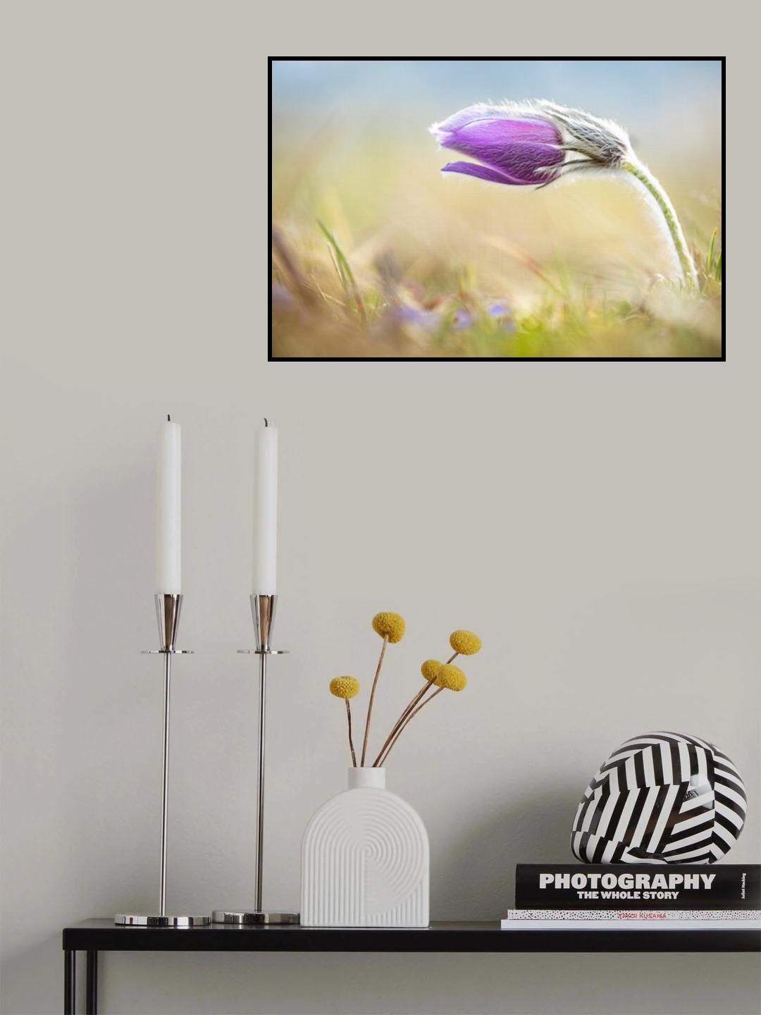 Springtime Poster och Canvastavla