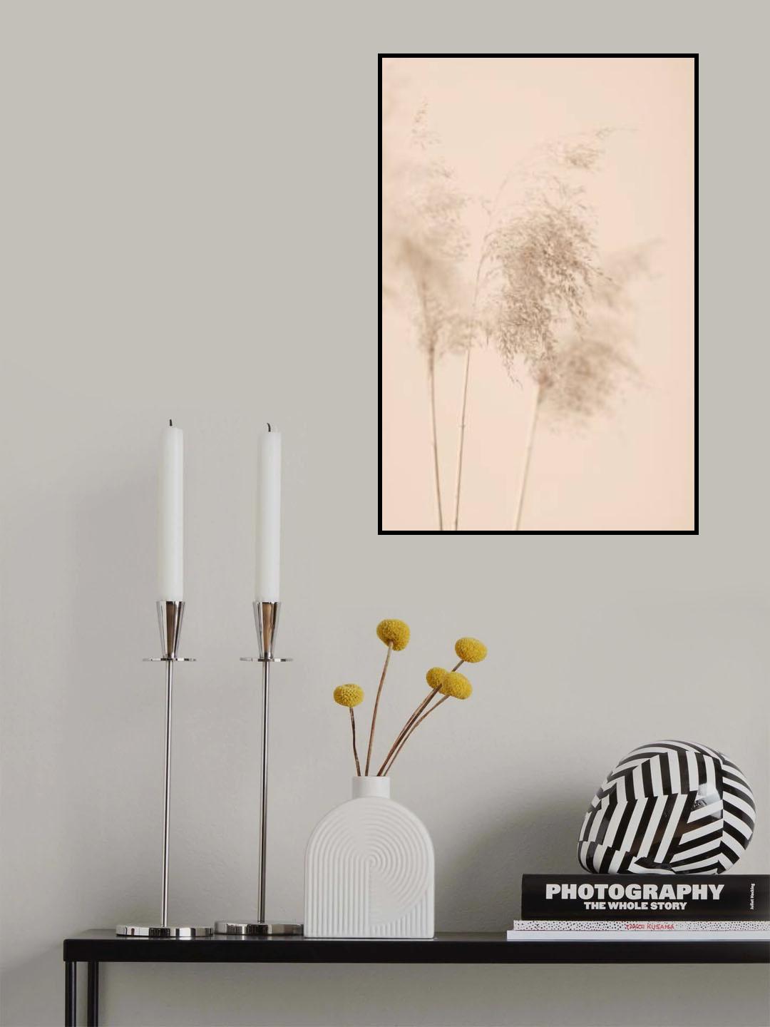 Reed Grass Beige 09 Poster och Canvastavla