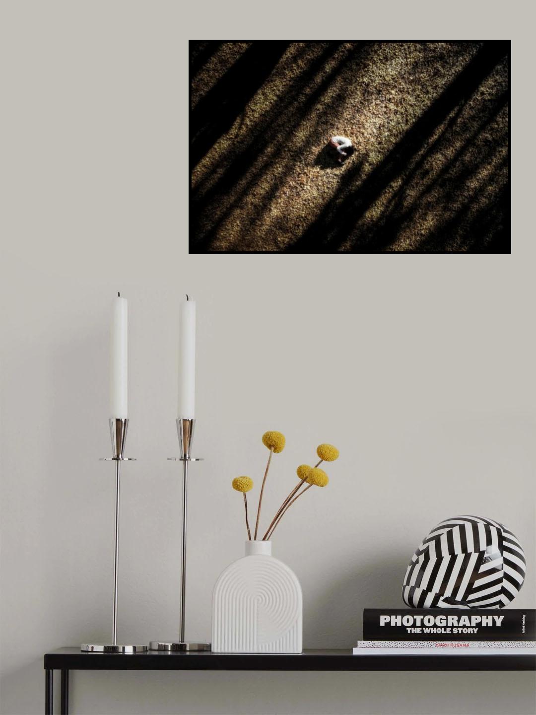 kage Poster och Canvastavla