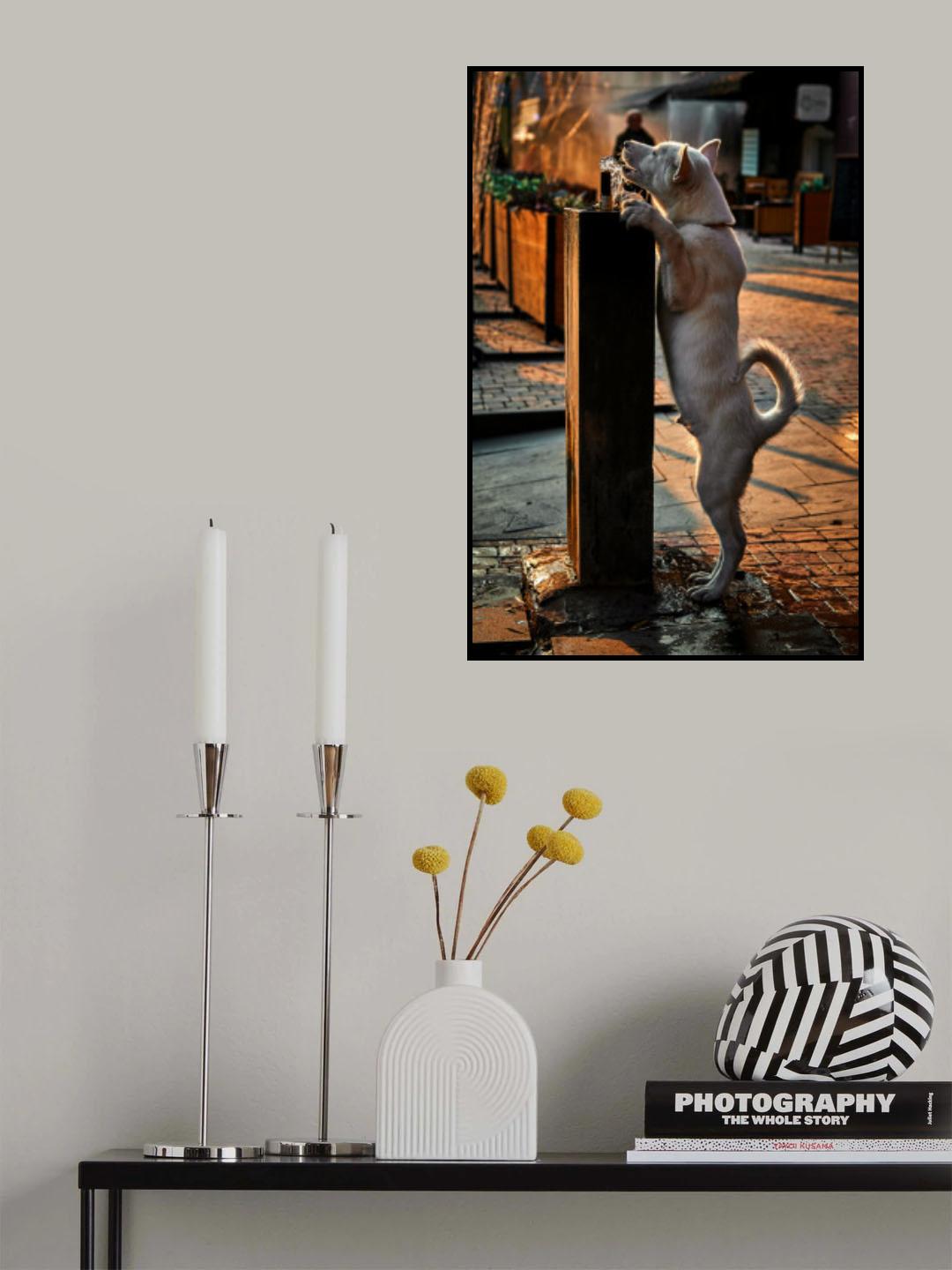 Pulpulak Poster och Canvastavla