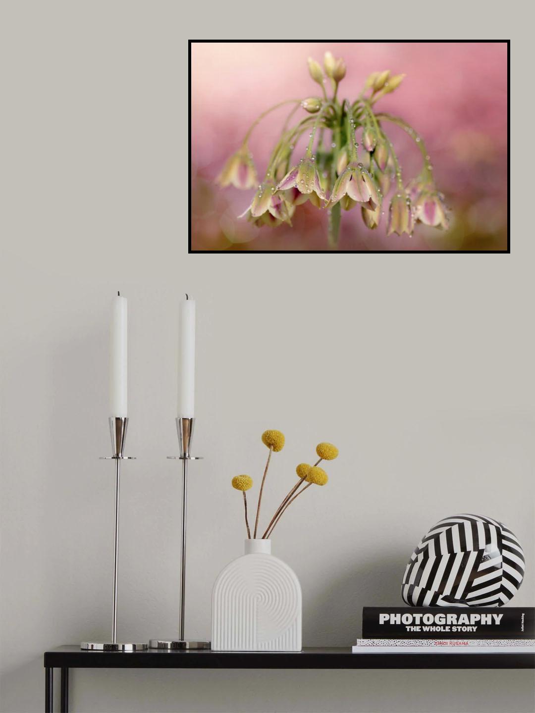 Dew Drops Poster och Canvastavla