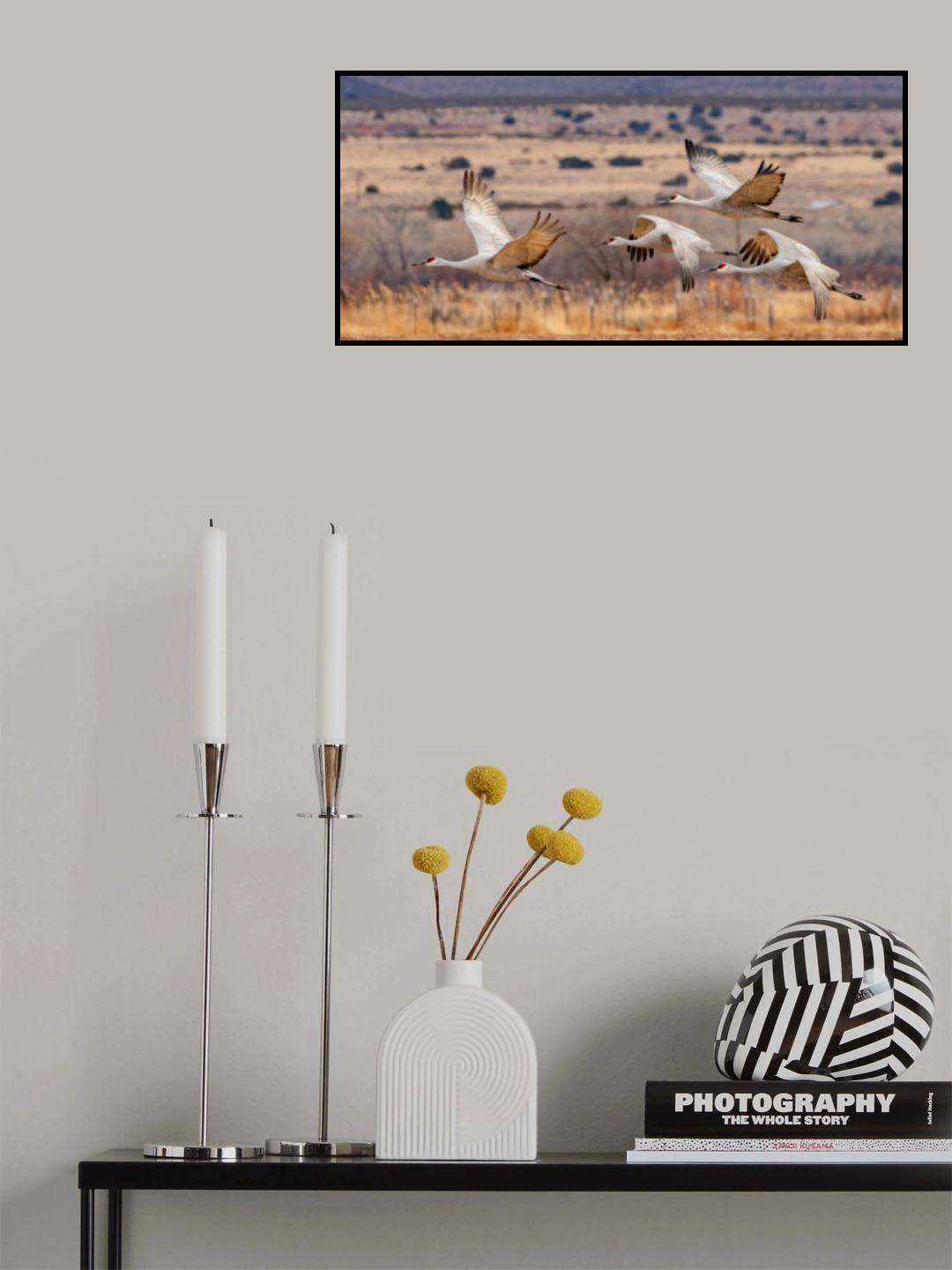 The Chase Poster och Canvastavla