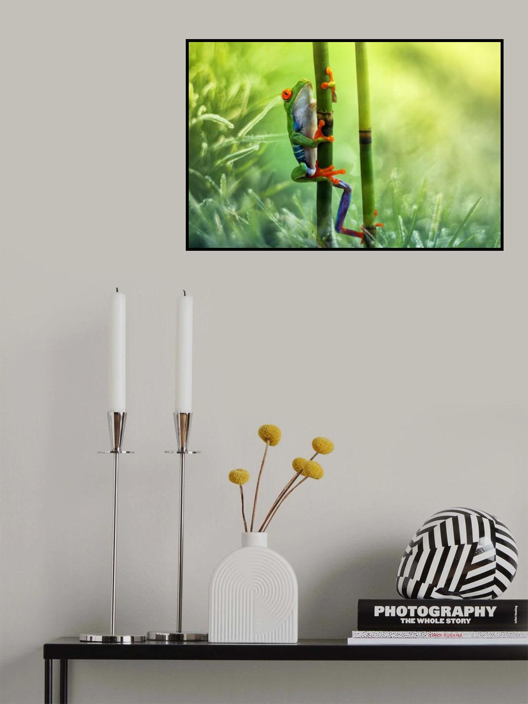 Climb Poster och Canvastavla