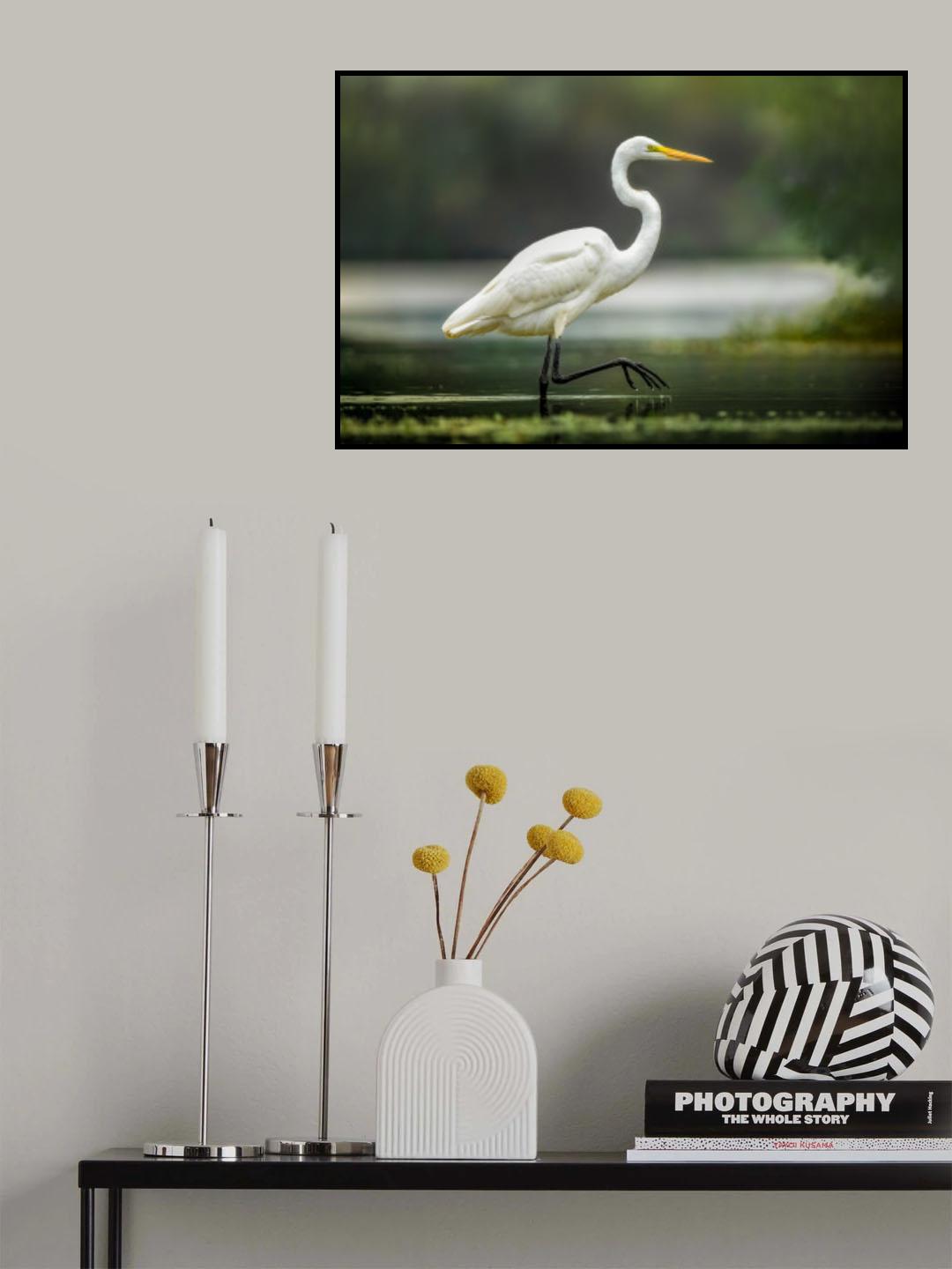 Morning Stroll Poster och Canvastavla