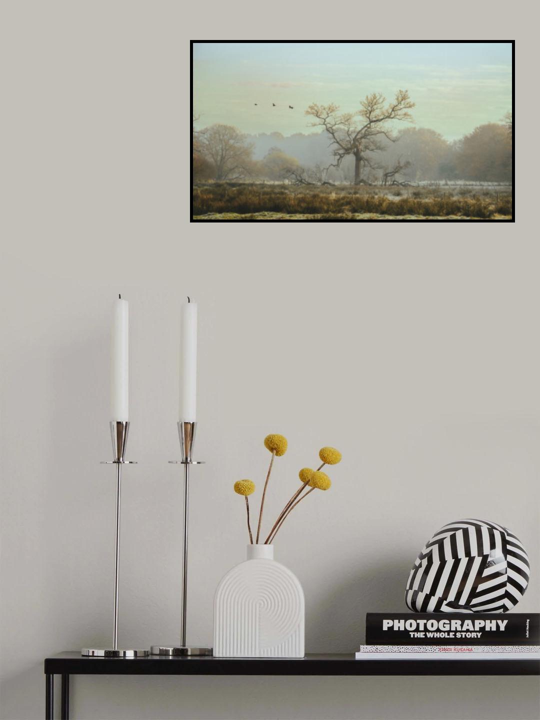 Abandoned Poster och Canvastavla