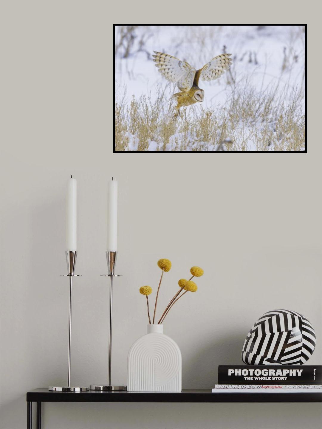 Two folds Poster och Canvastavla