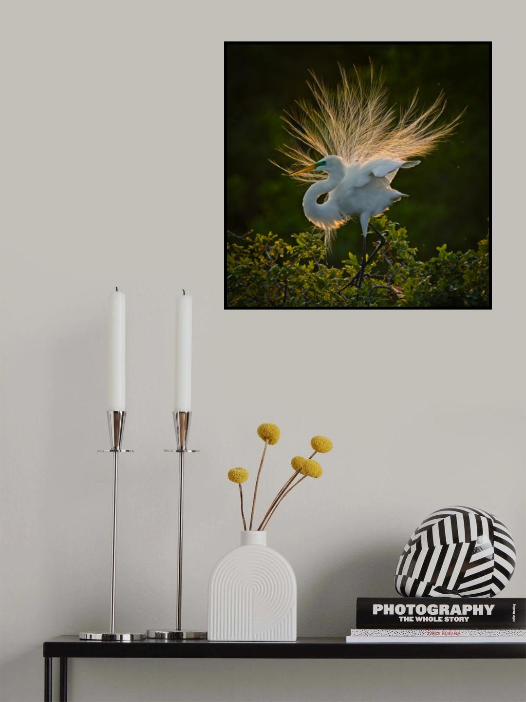 N/A Poster och Canvastavla
