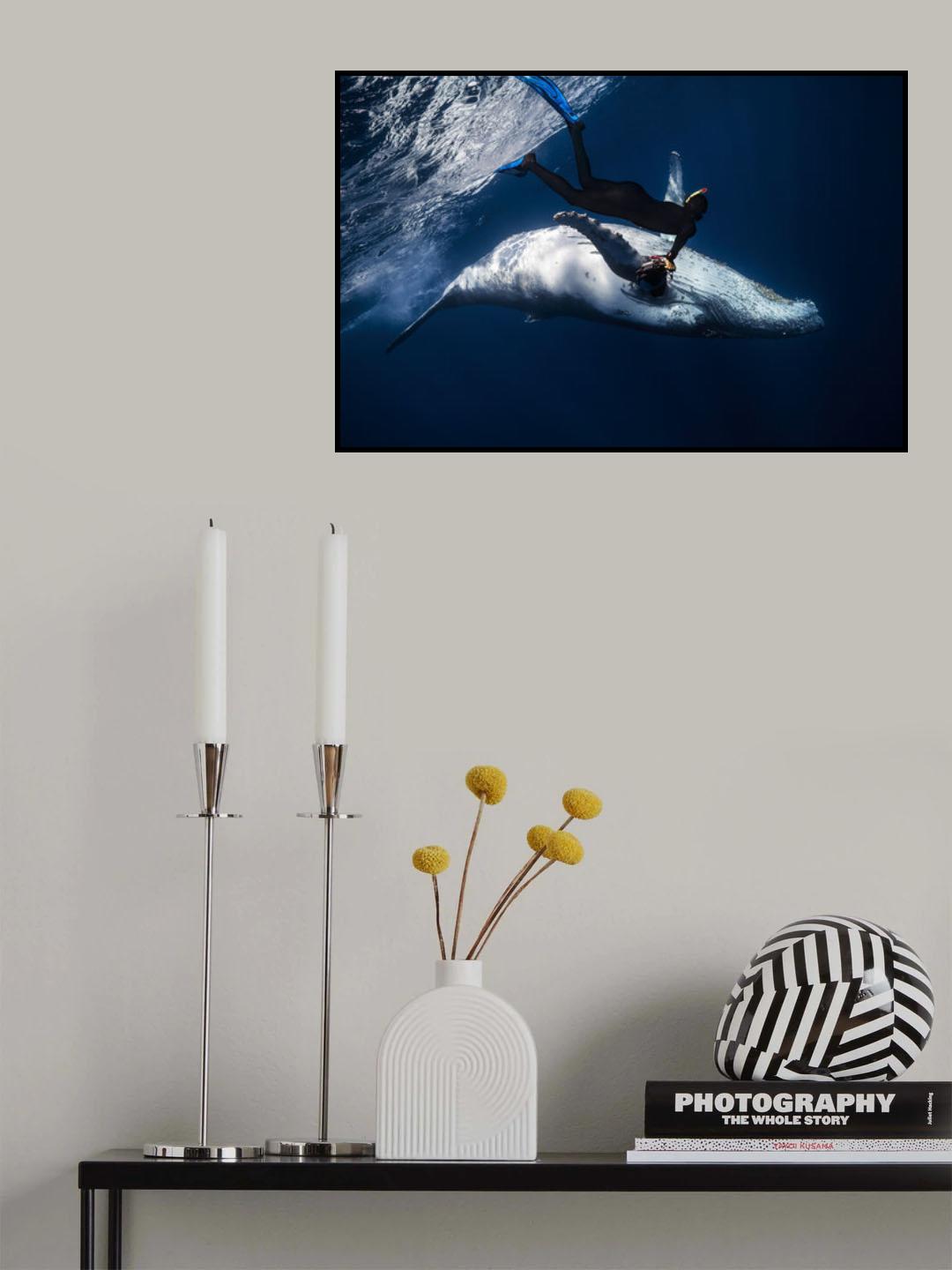 Dancing with whale Poster och Canvastavla