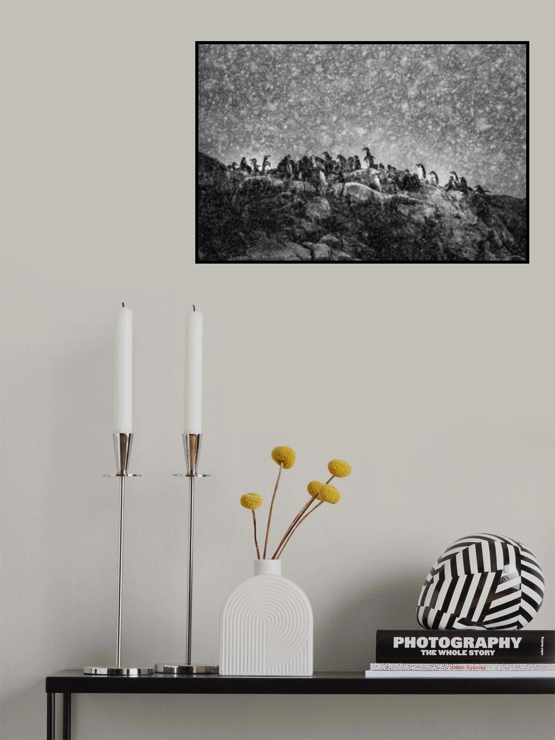 Antarctic storm Poster och Canvastavla