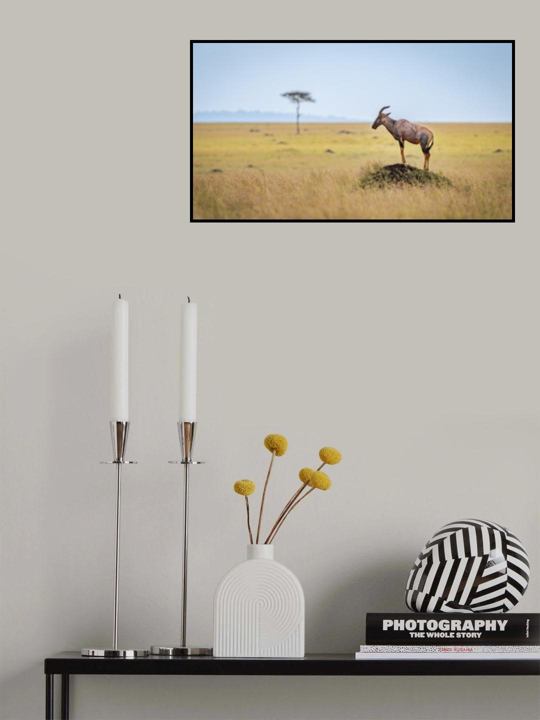 A Mara landscape… Topi on a rock. Poster och Canvastavla
