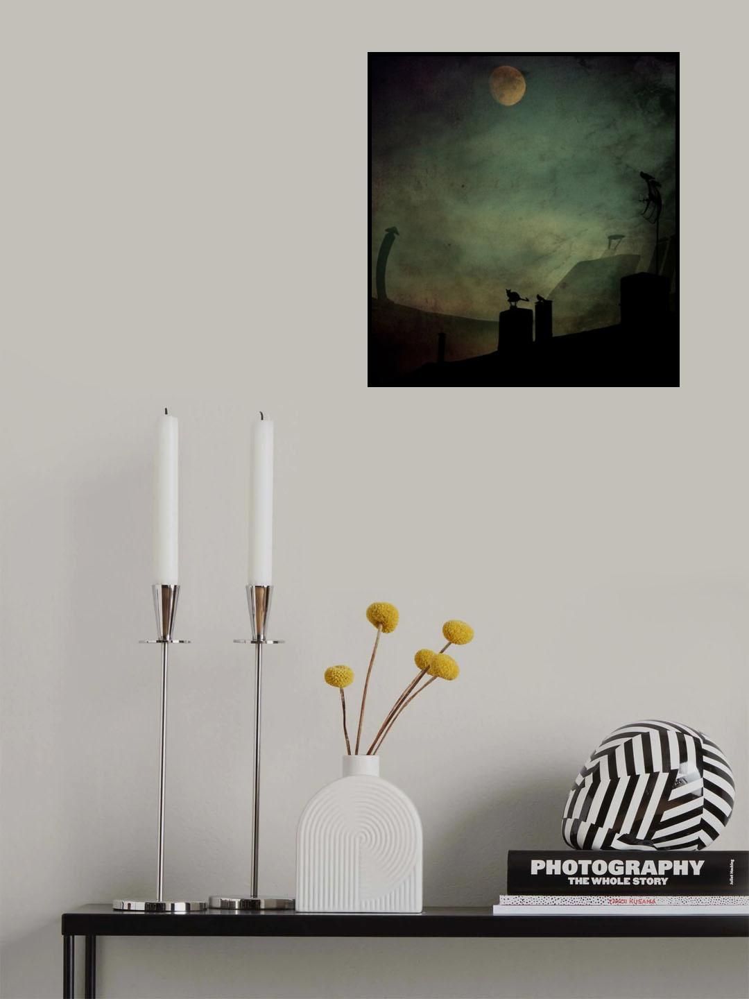 Cat Stories... Poster och Canvastavla