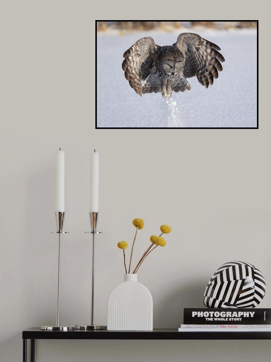 A little Jump Poster och Canvastavla