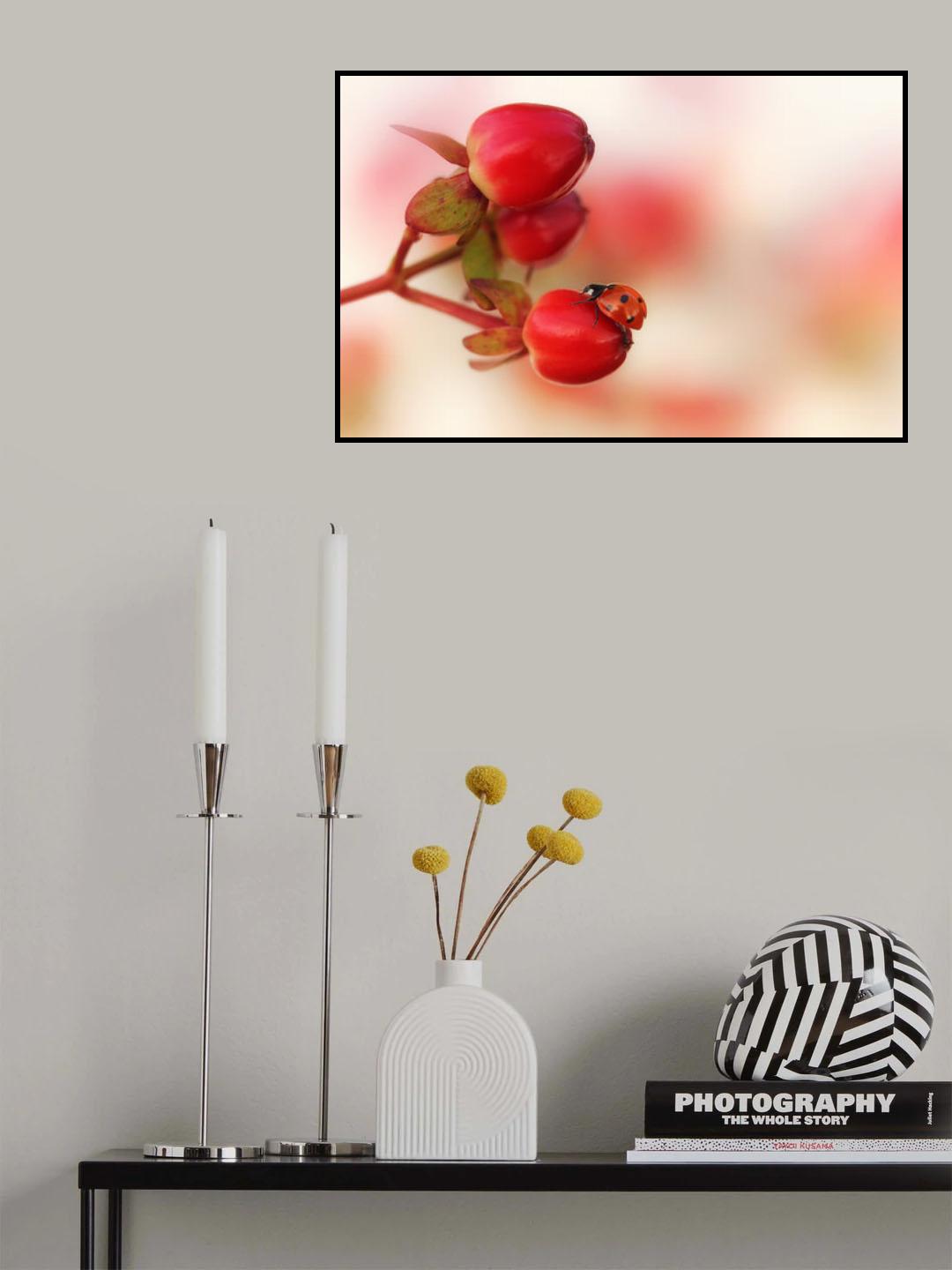 Ladybird on red..... Poster och Canvastavla
