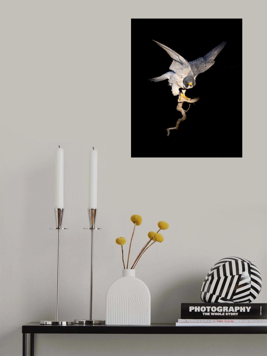 舞蹈 Poster och Canvastavla