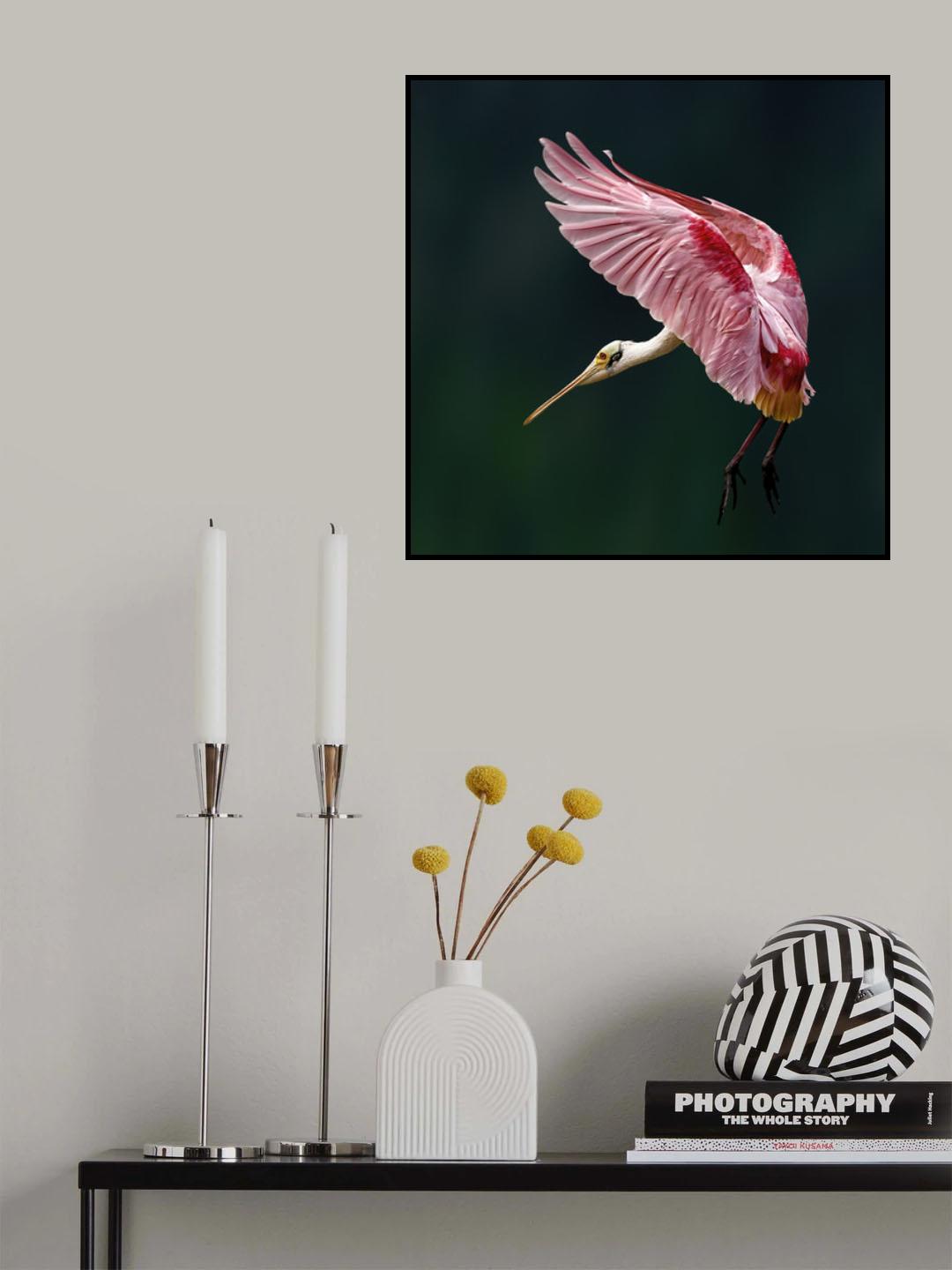 Portrait of a Spoonbill Poster och Canvastavla