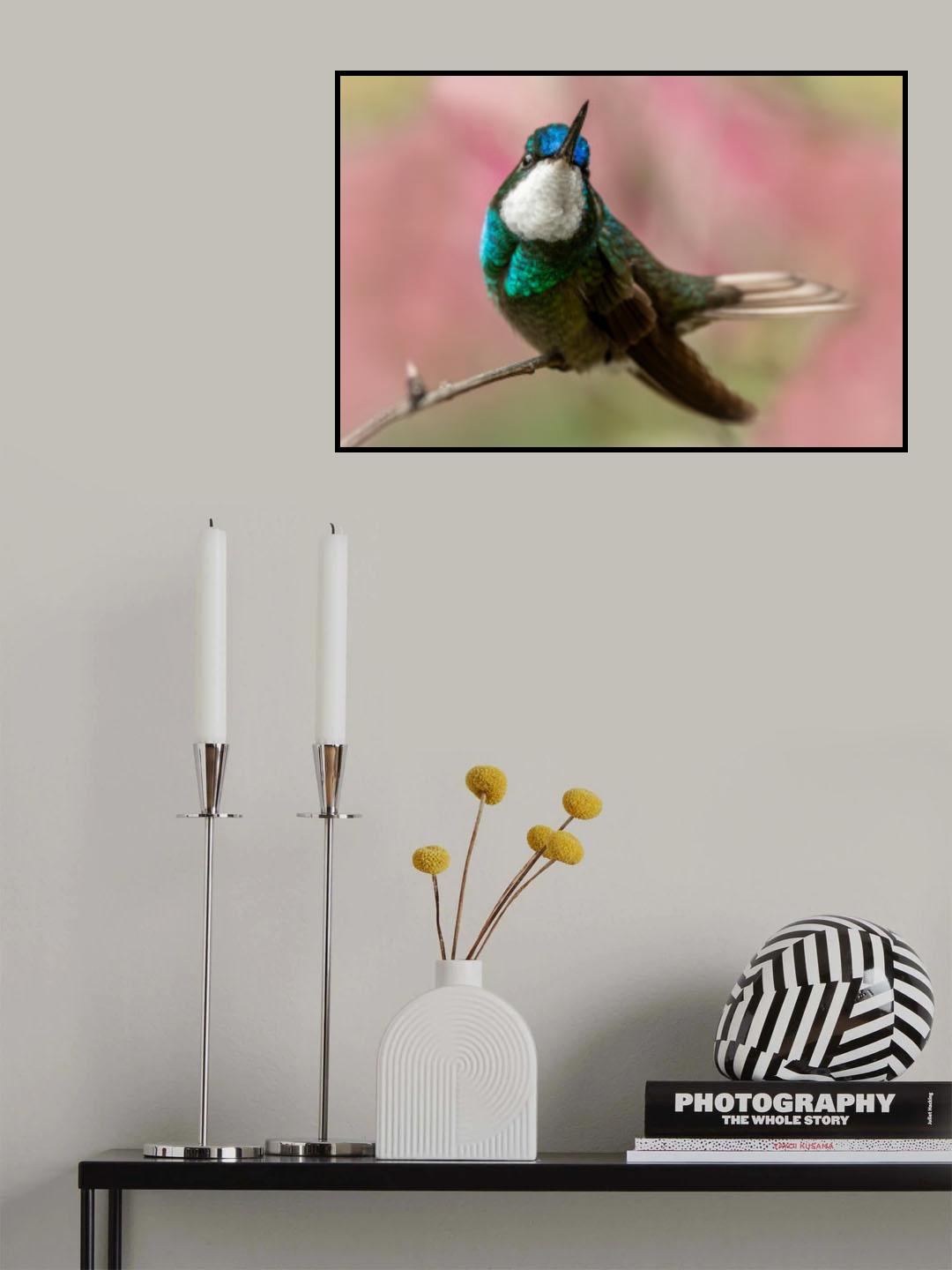 Strike a pose Poster och Canvastavla