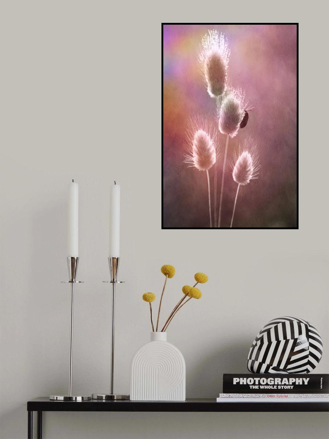 Poster och Canvastavla