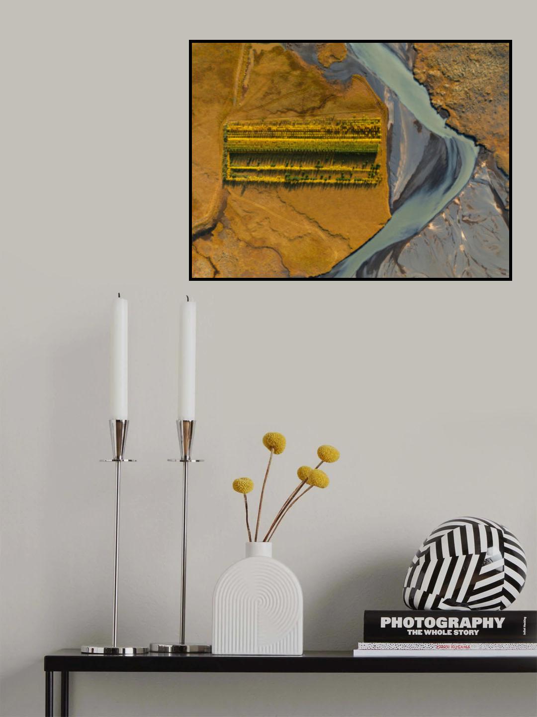 Icelandic forestry Poster och Canvastavla